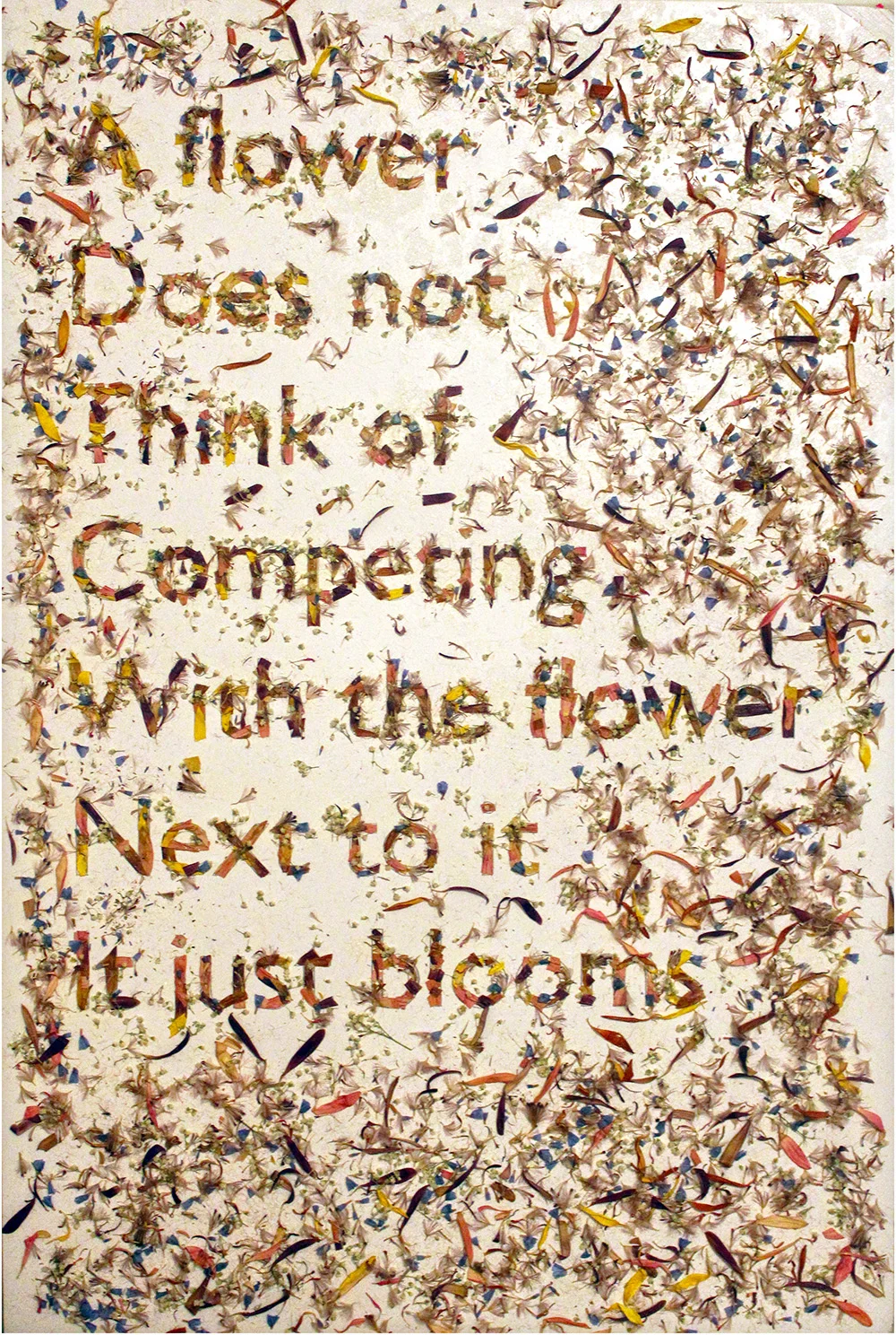 FlowerPosterHDR.jpg