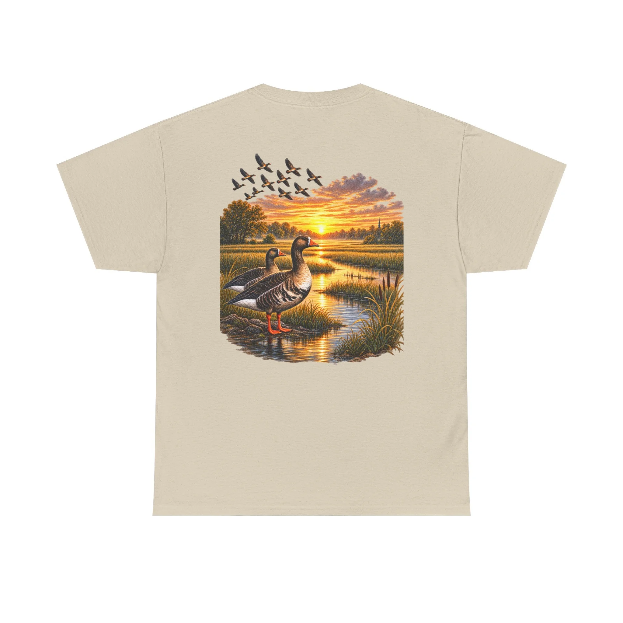 Back (26).png