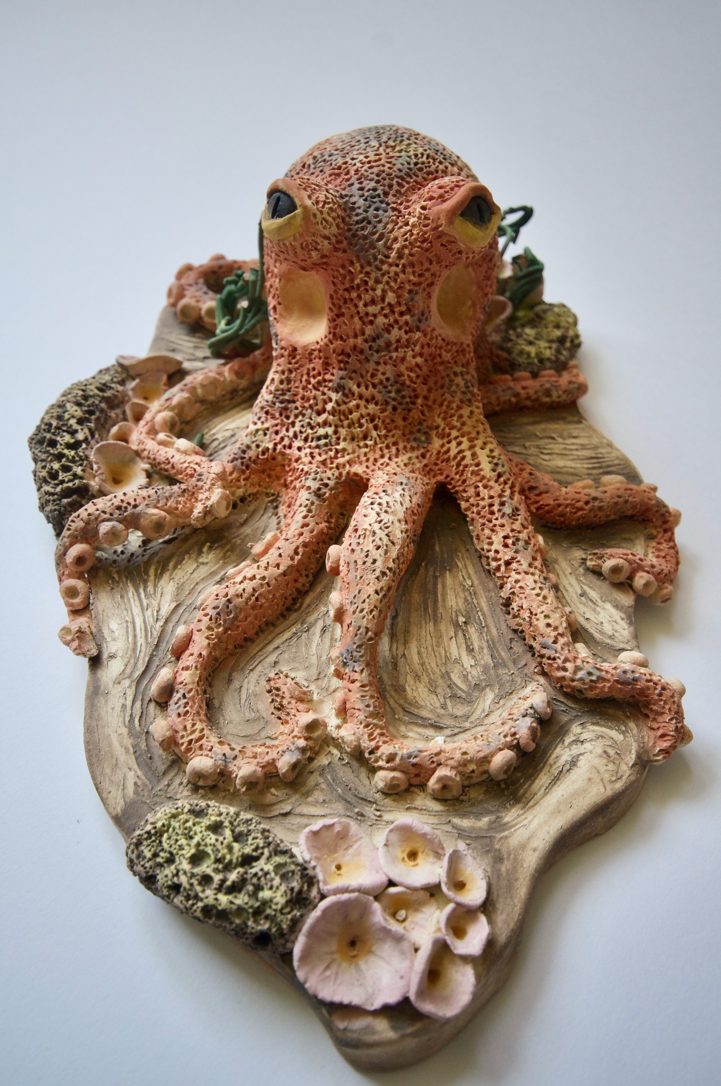 Pulpo