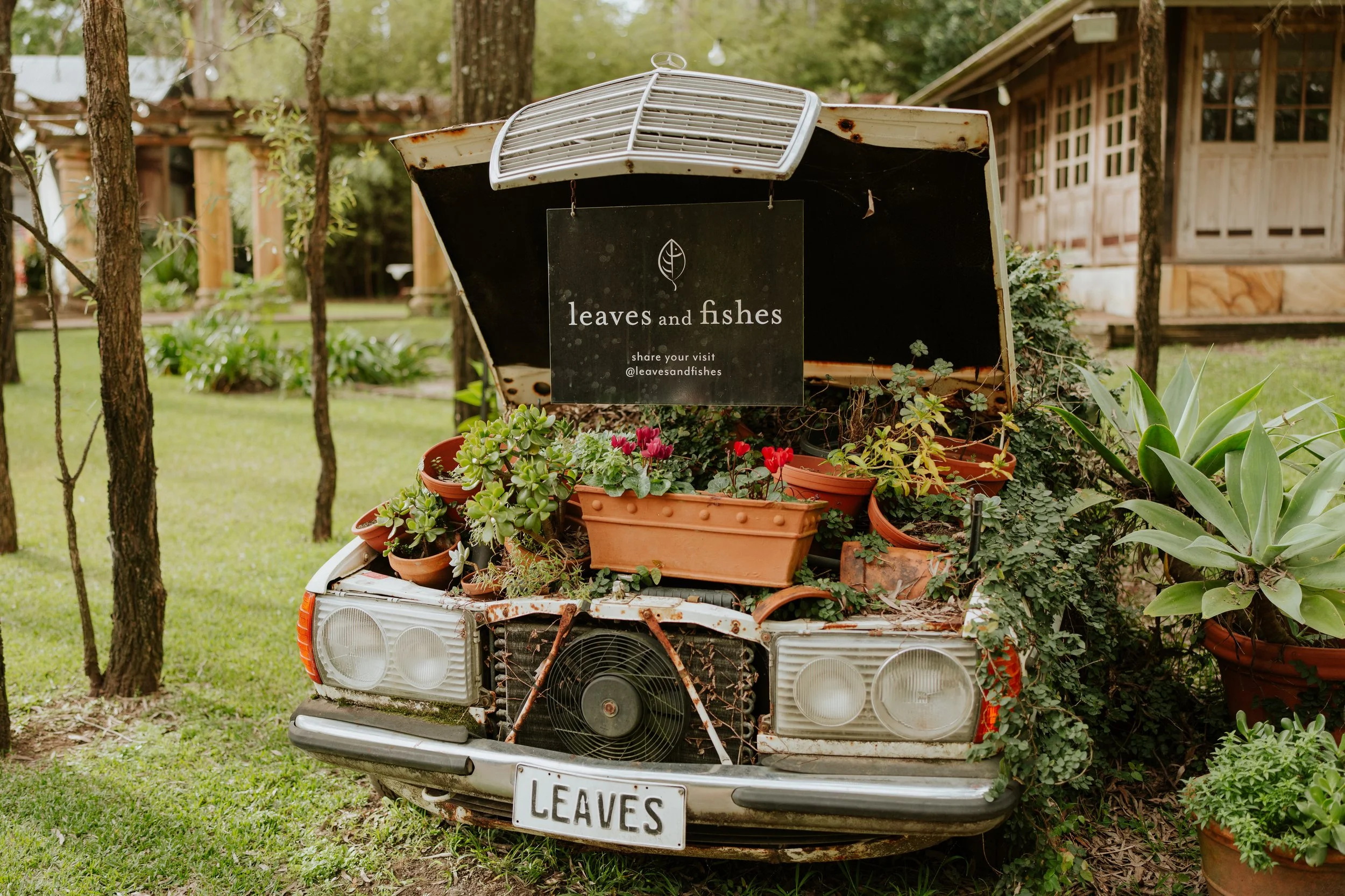 An old car with a sign that says 'leaves and fishes' parked in a garden, filled with potted plants and surrounded by trees and a wooden building in the background.