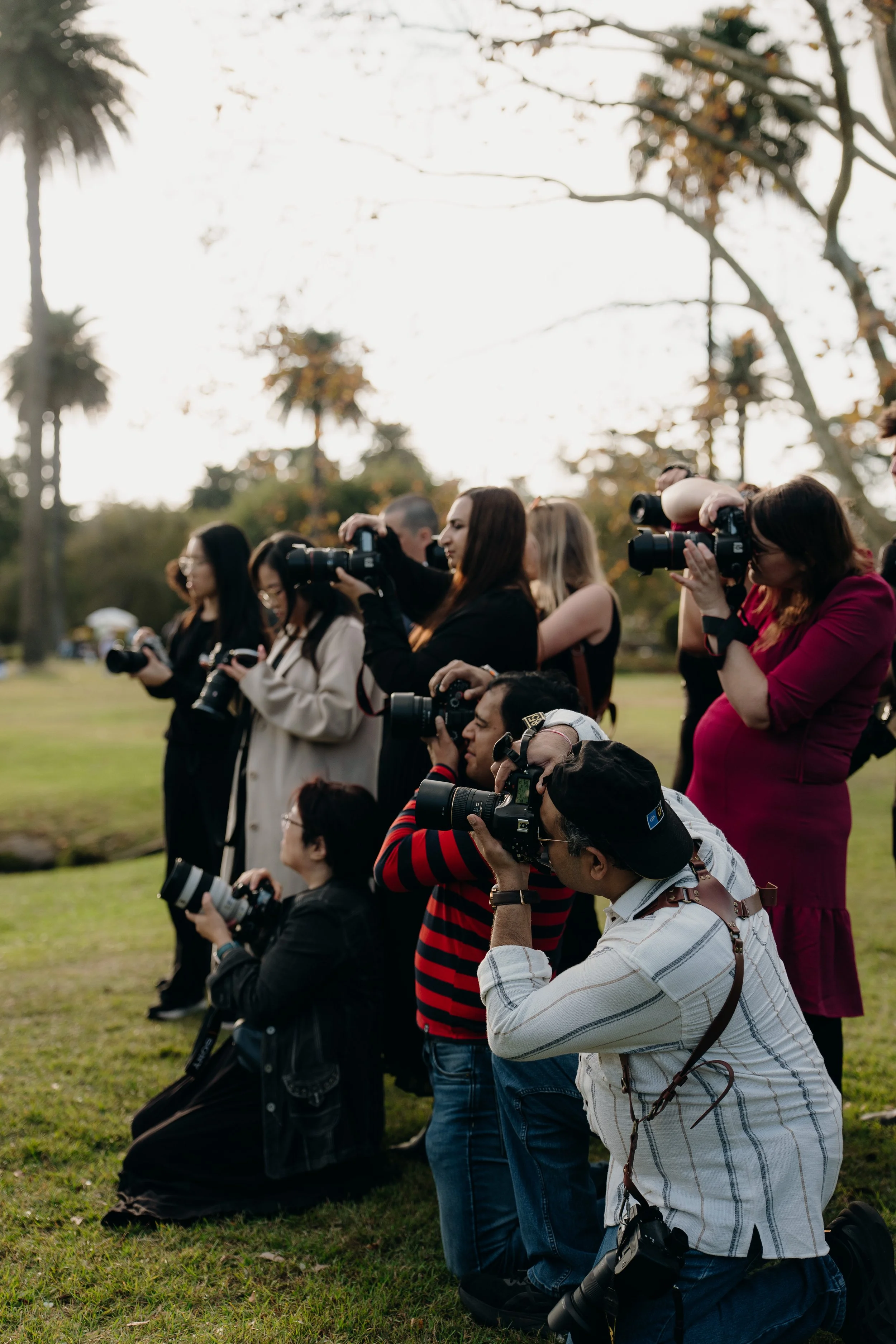 A group of photographers taking photos outdoors on a grassy area with trees in the background. Some are kneeling, others standing, all holding cameras.
