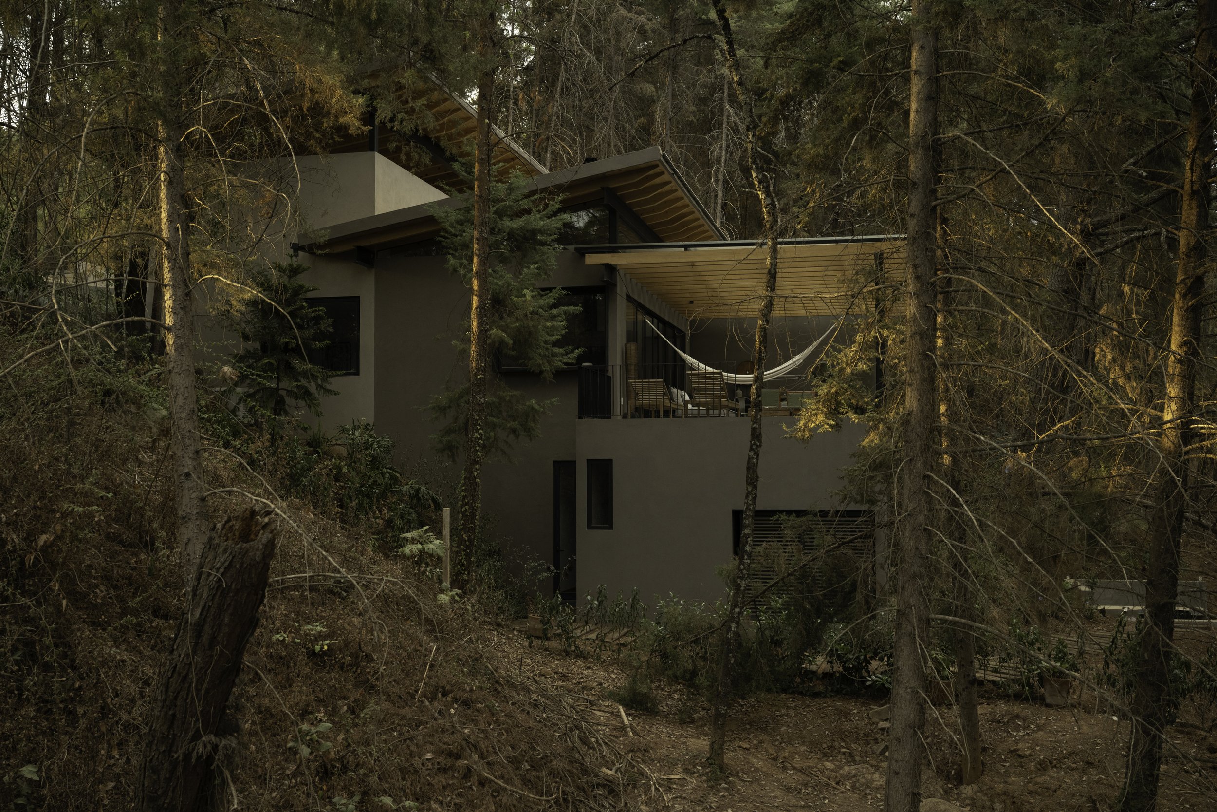 Casa moderna en medio de un bosque de árboles altos y frondosos.