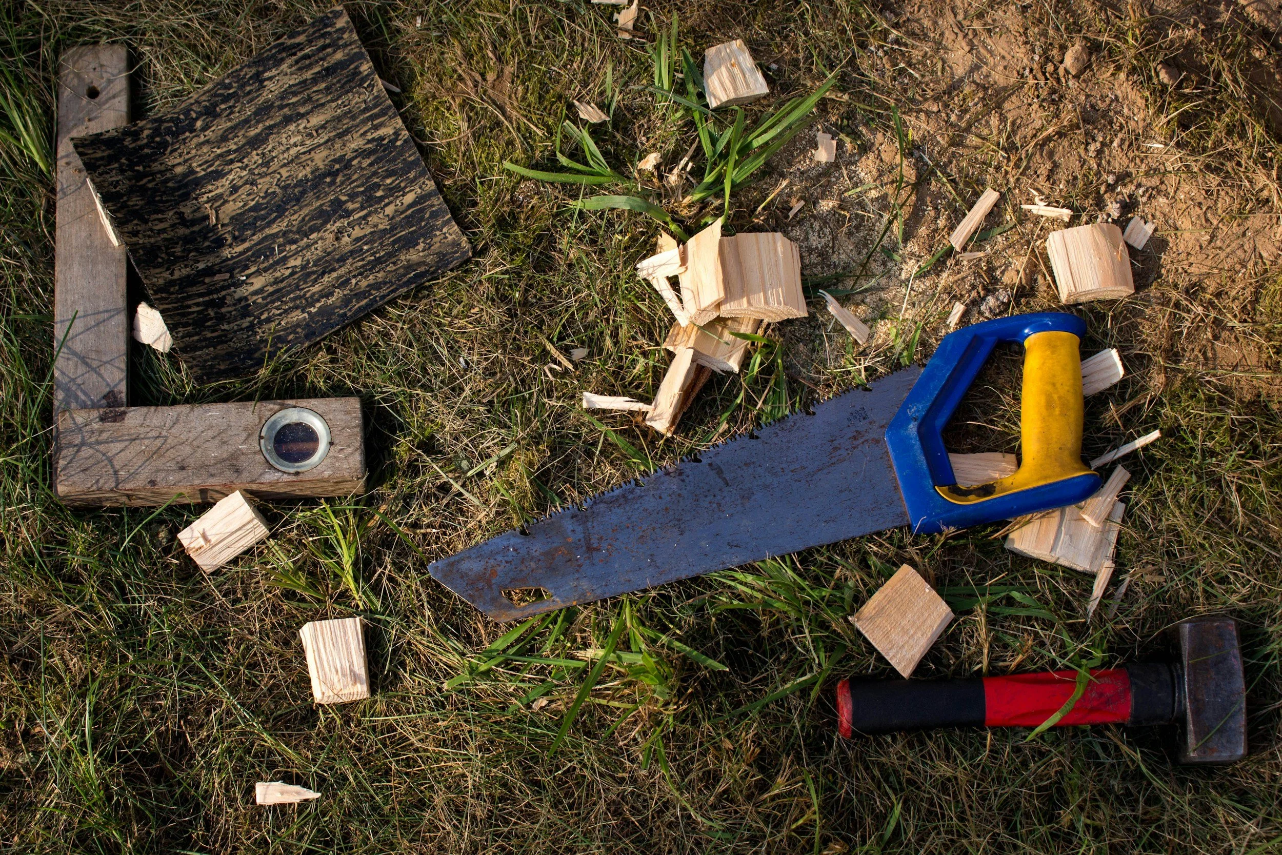 Various discarded woodworking tools and pieces of wood and debris on the ground outdoors, including a handsaw with a blue and yellow handle, a black and red firecracker, and small wood splinters among grass and soil.