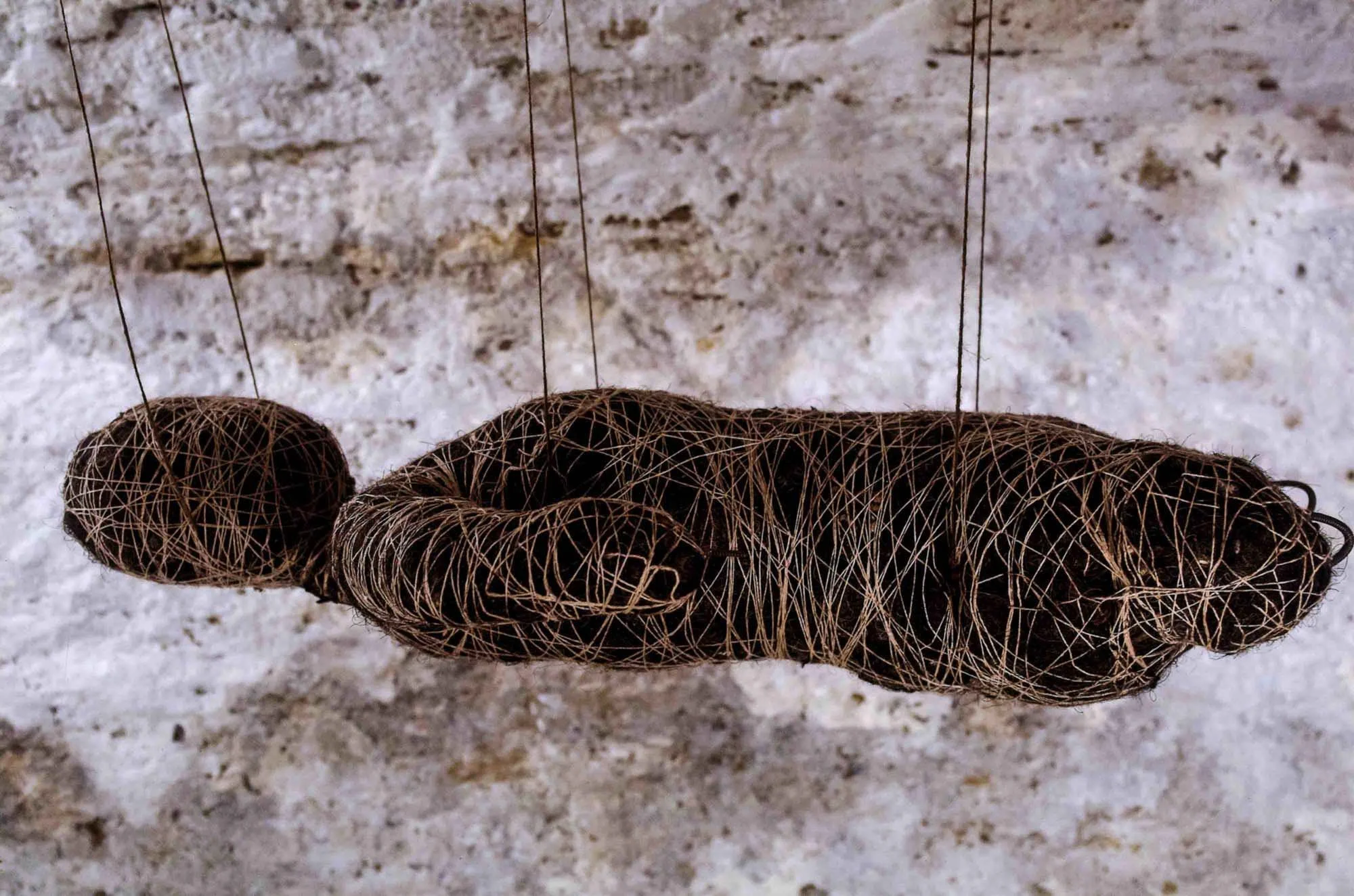  Suspended Female , view 2