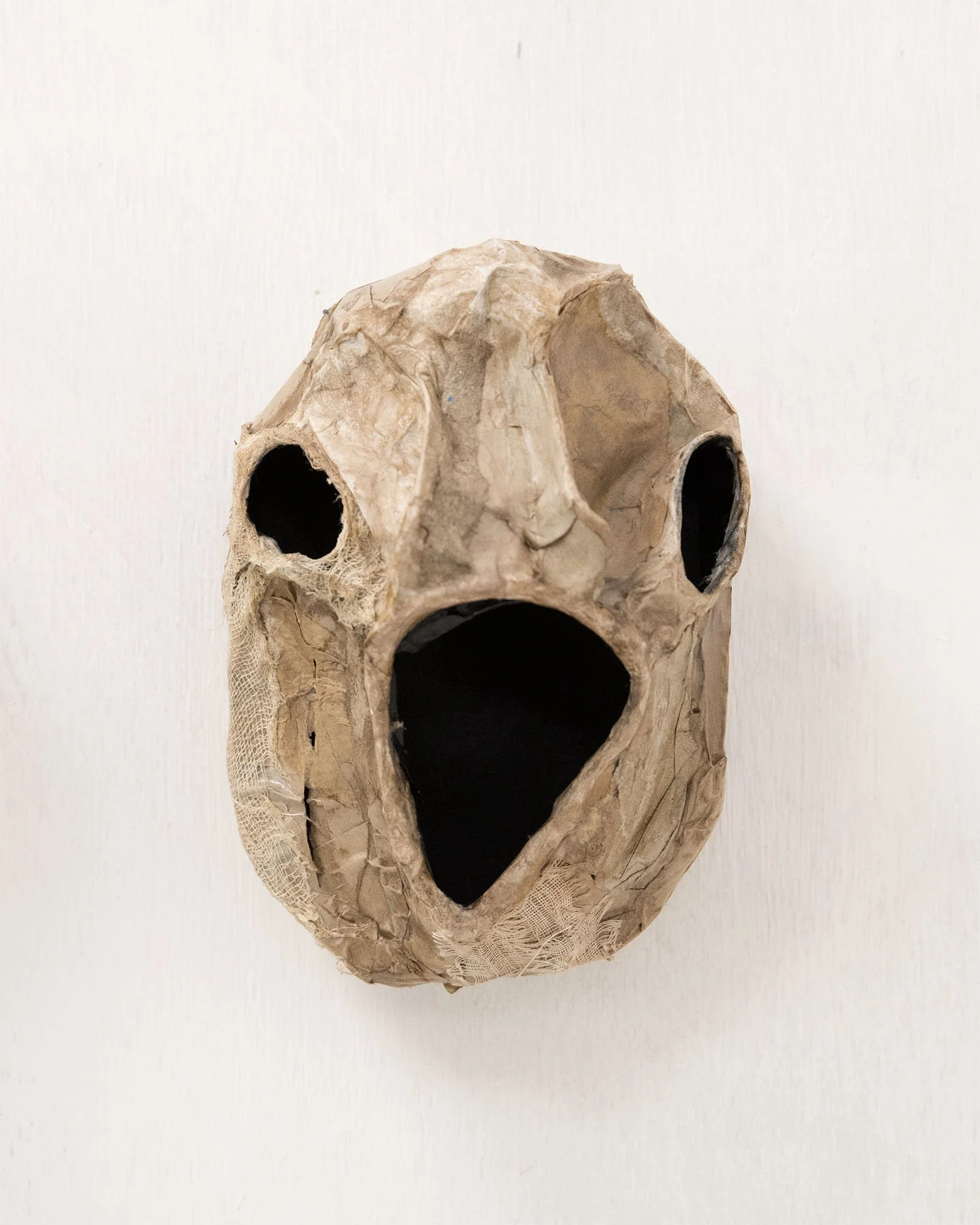 Head H22cm W14cm D15cm 2026
