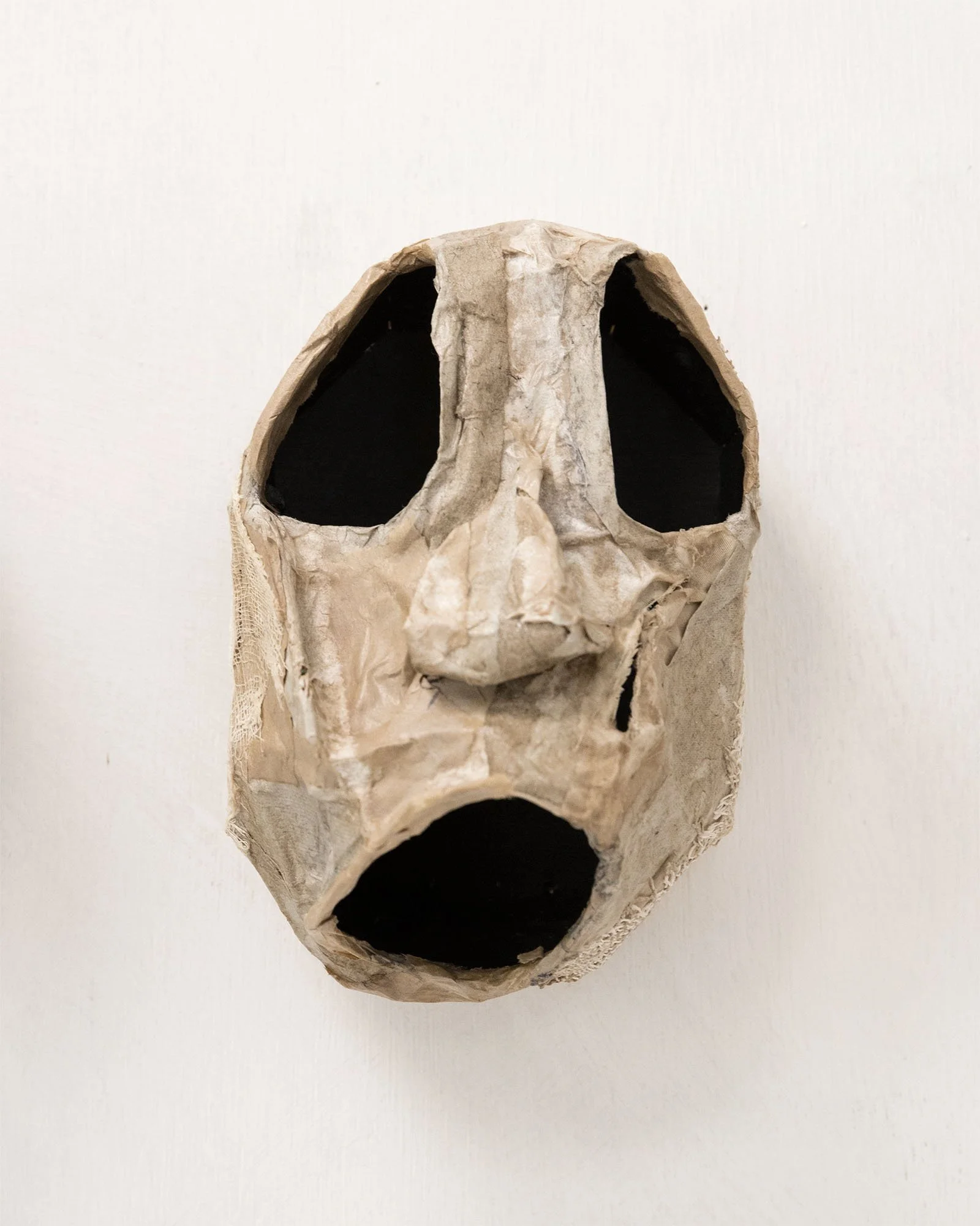 Head H22cm W14cm D15cm 2026