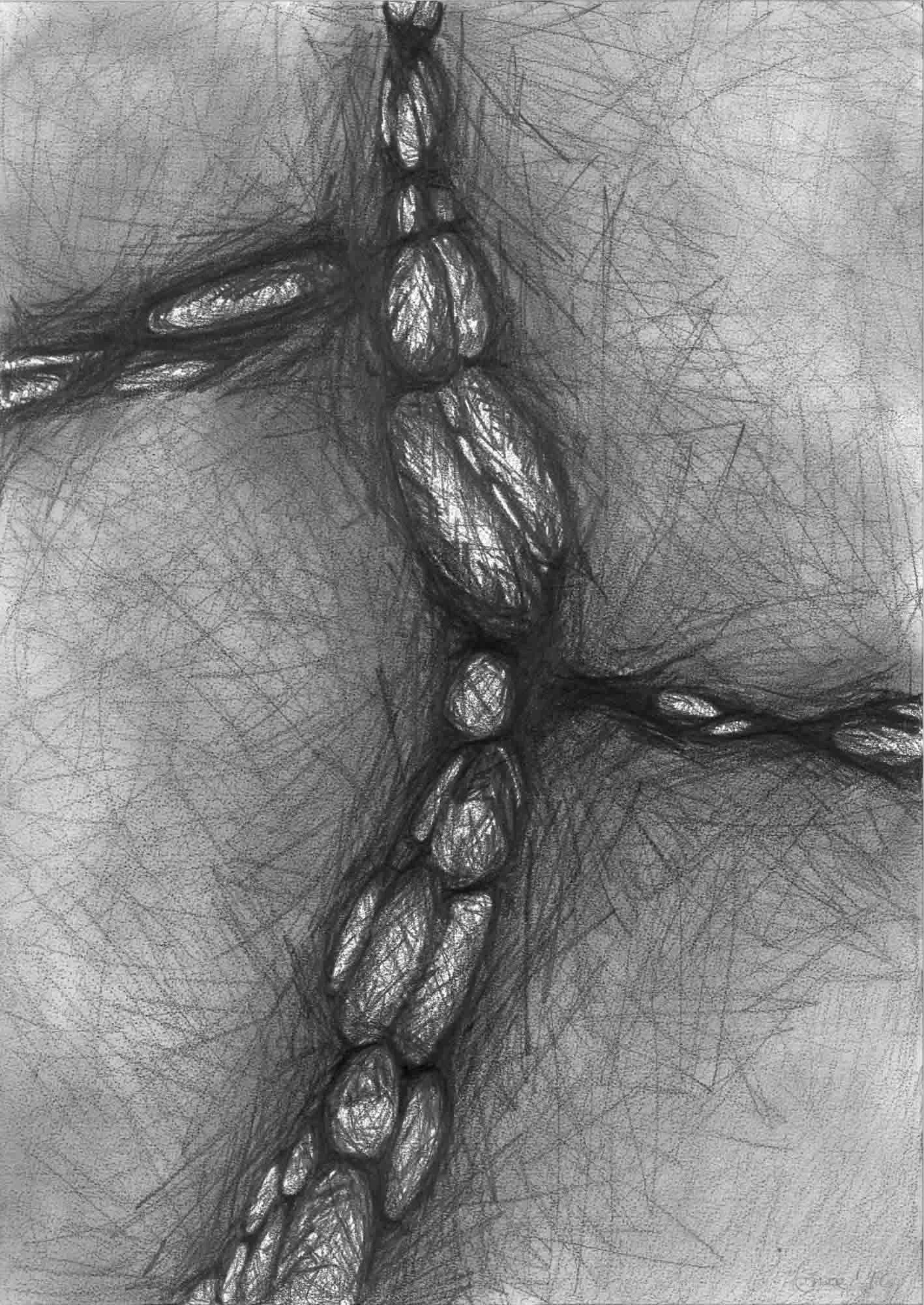  Natural Forms Large 1 , 1996, 70x50cm OPT