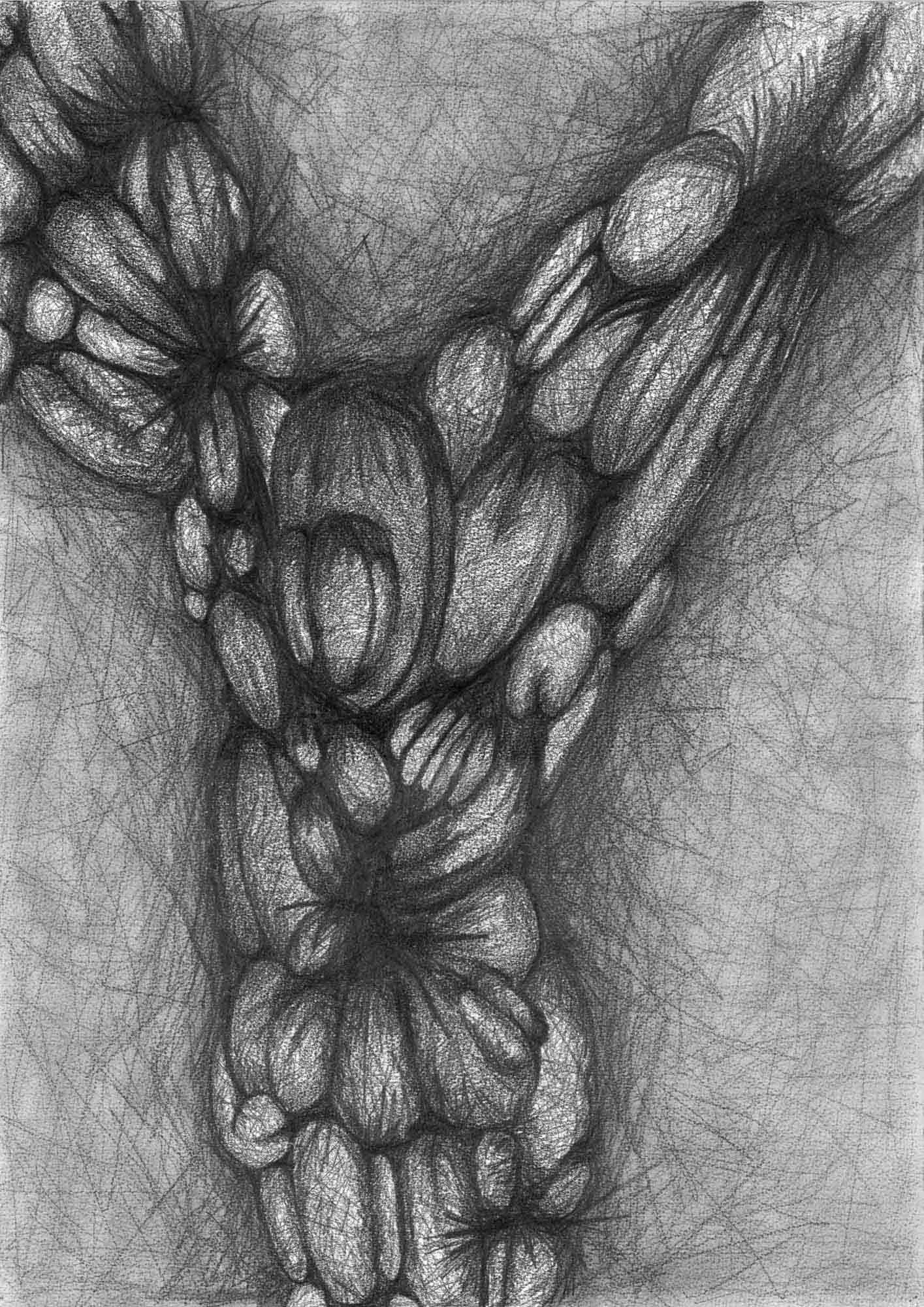  Natural Forms Large 3 , 1996, 70x50cm OPT