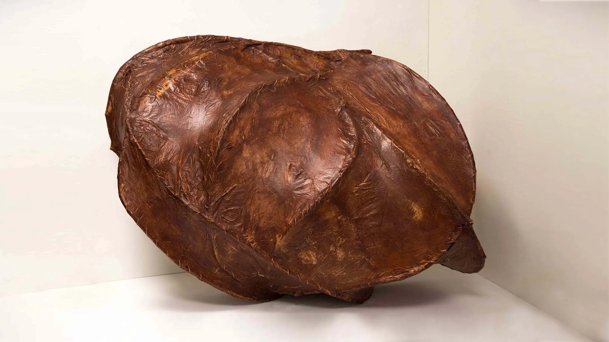Carapace, sculpture, 90x70x50cm, 1997