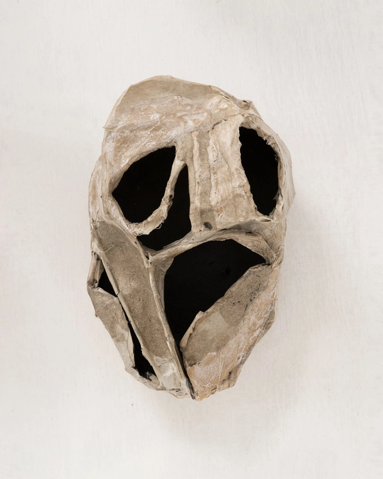 Head H22cm W14cm D15cm 2026
