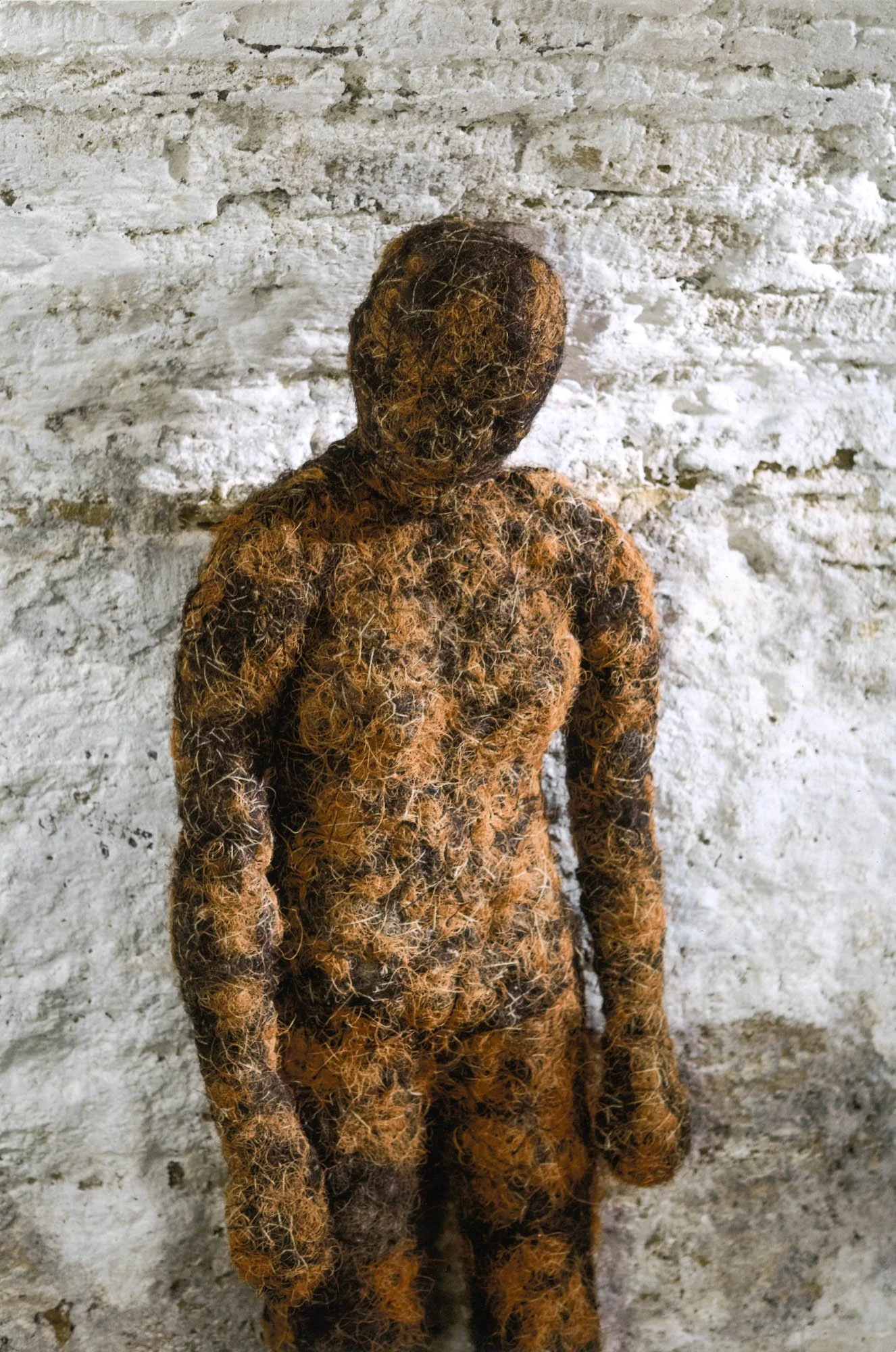 Witness H161cm W40cm D26cm 2010