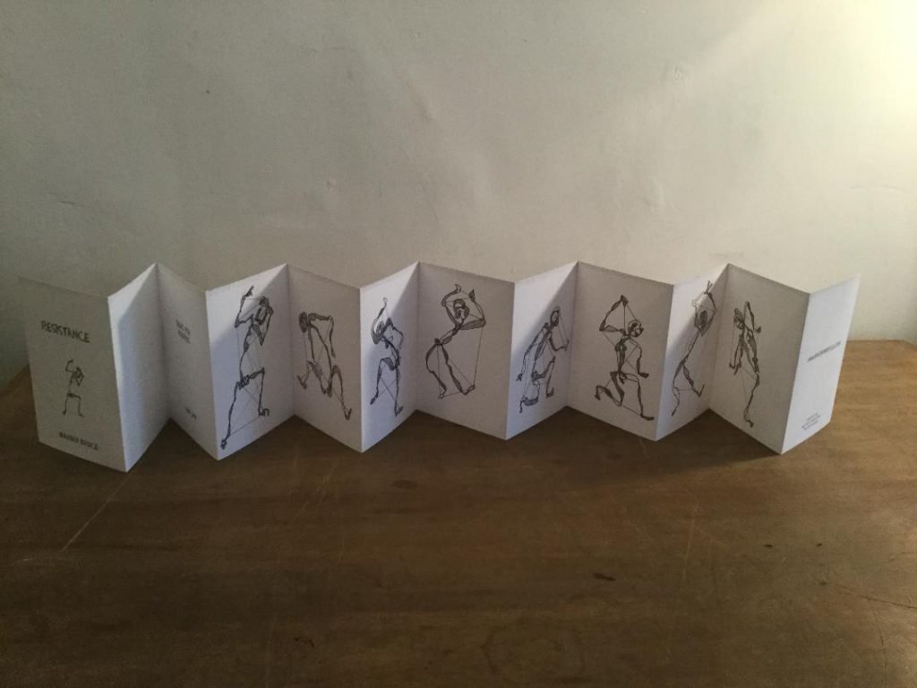 Concertina 1024cm 14cm 2018-2