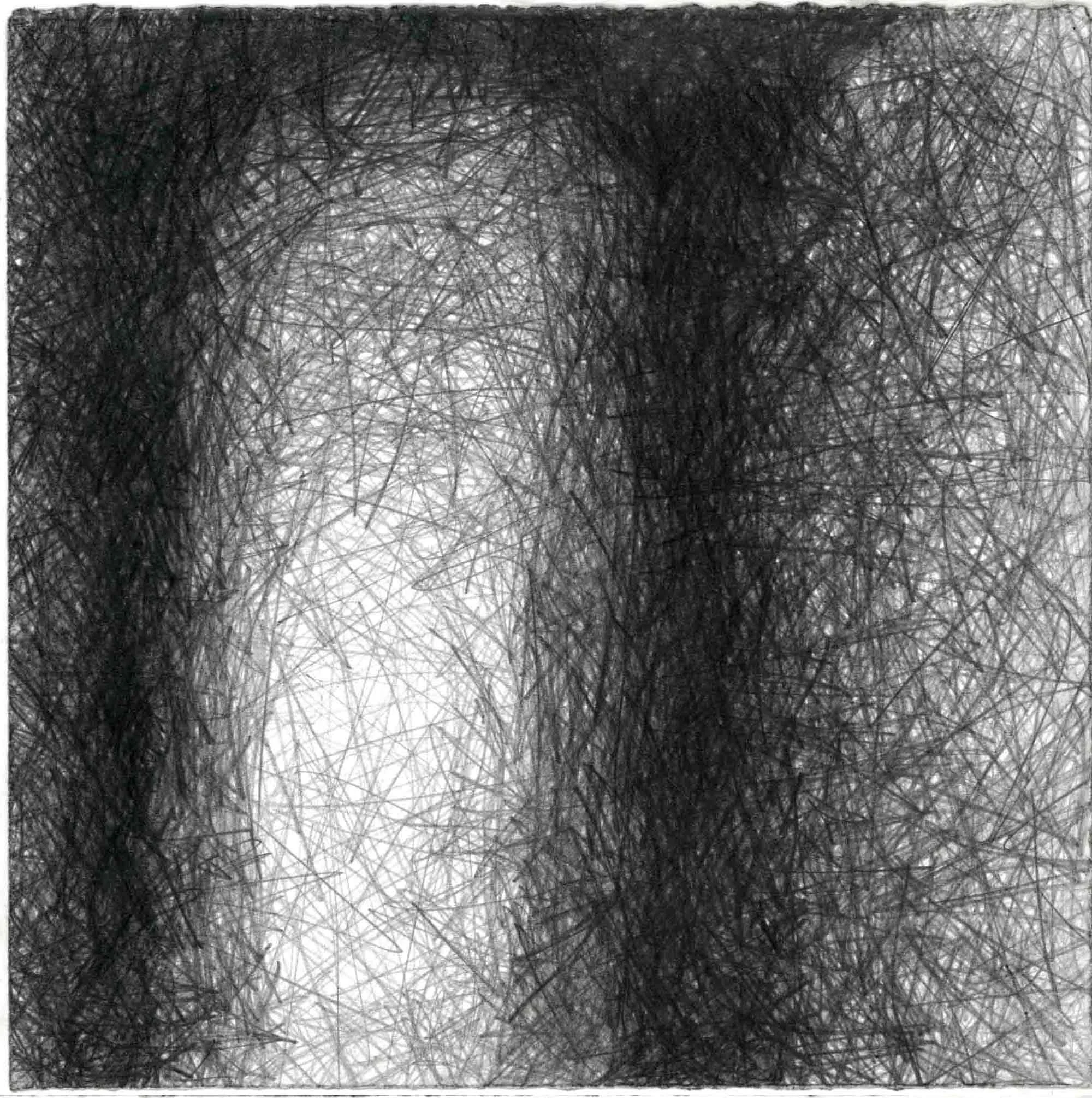  Natural Forms A  , 30x29cm OPT