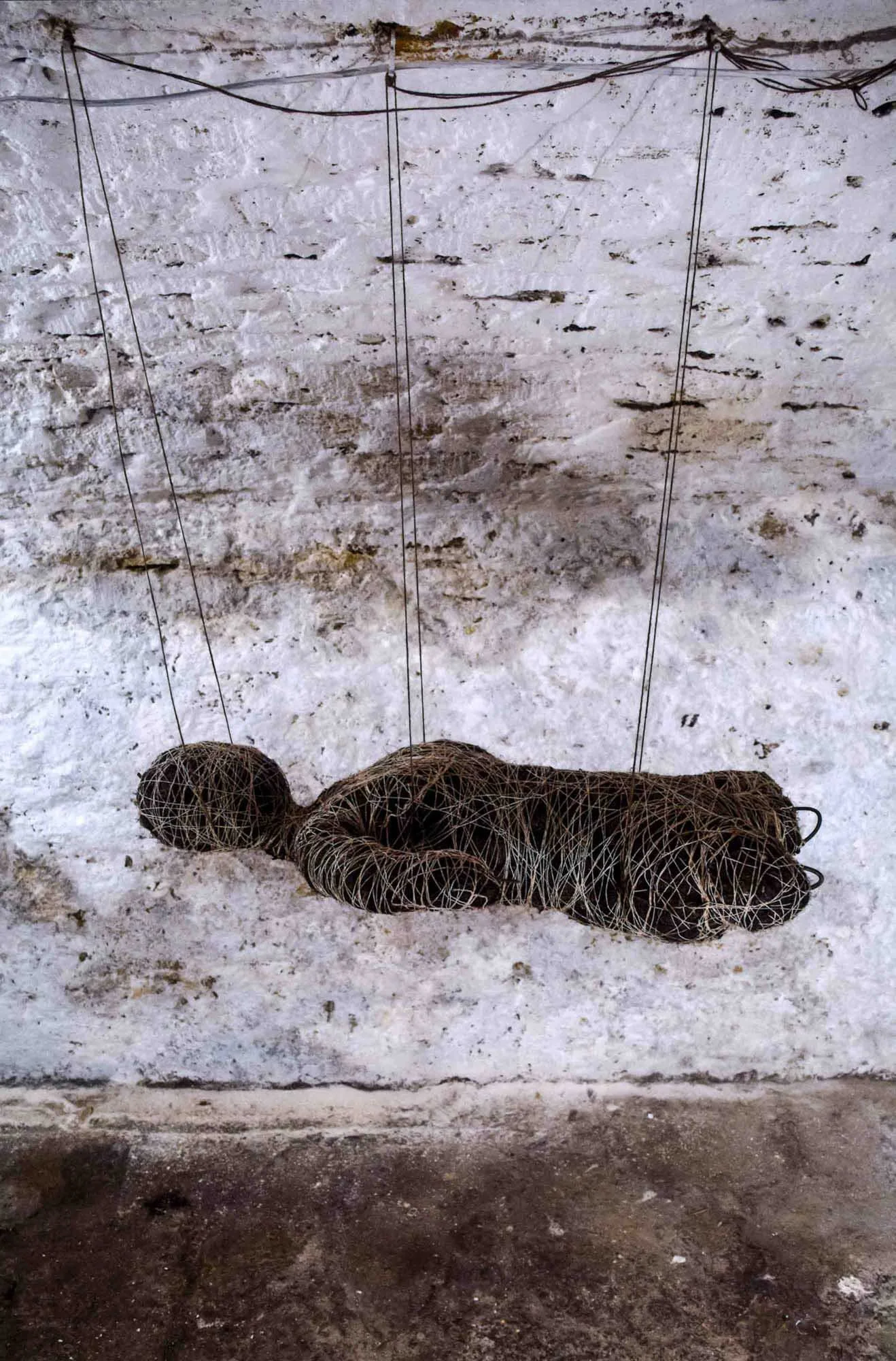  Suspended Female , 2015, 80x58cm