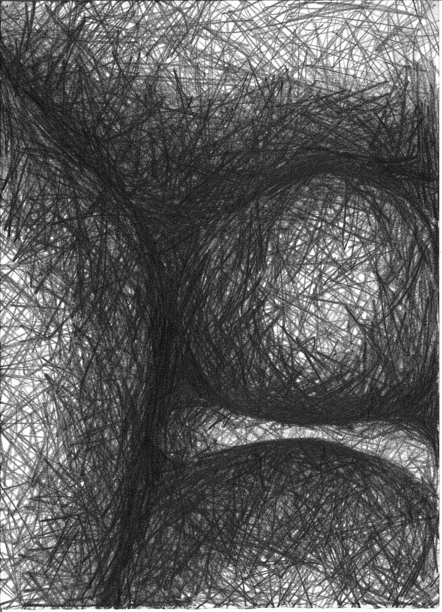  Natural Forms 3 , 1997,  39x28cm OPT