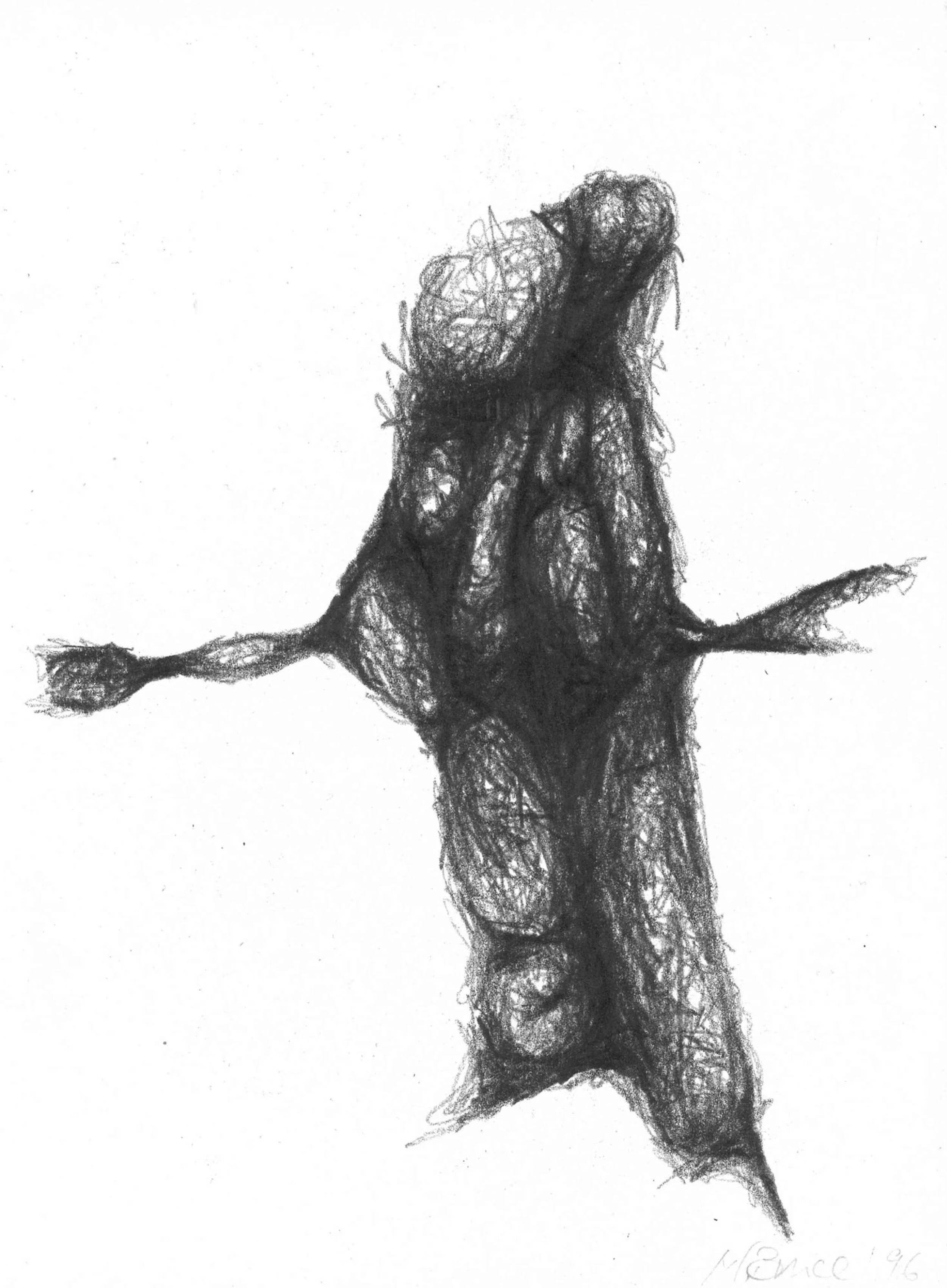  Natural Forms , 1996, 29x21cm OPT