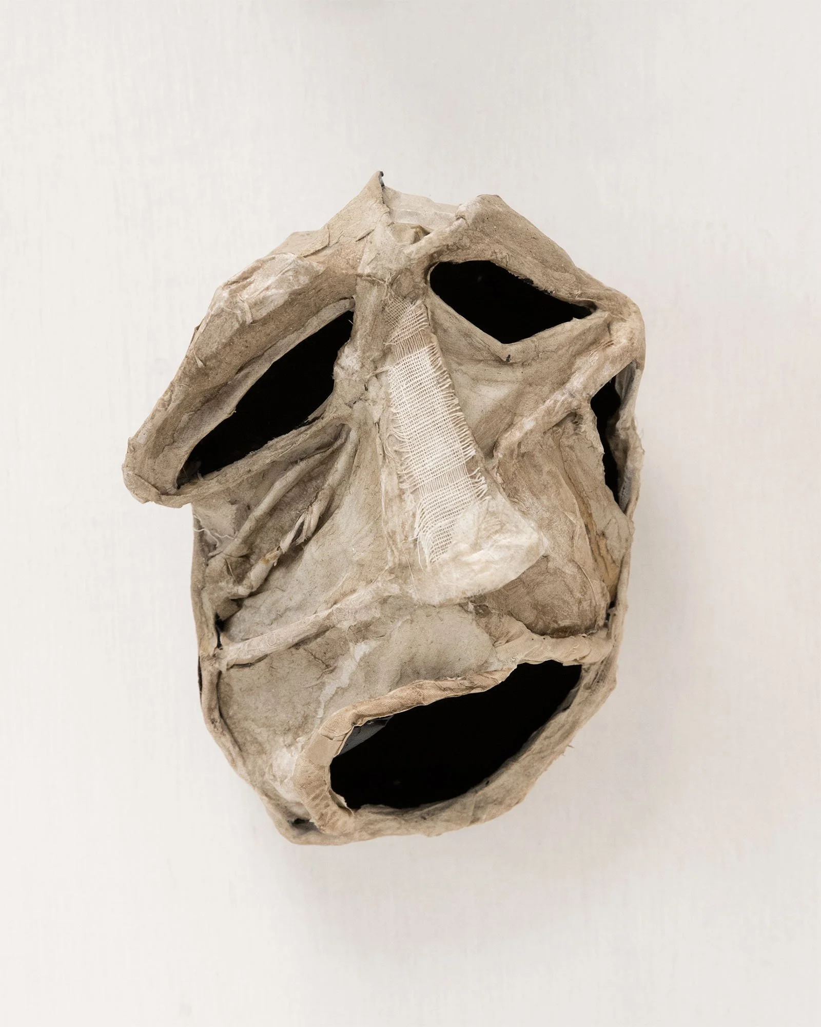 Head H22cm W14cm D15cm 2026