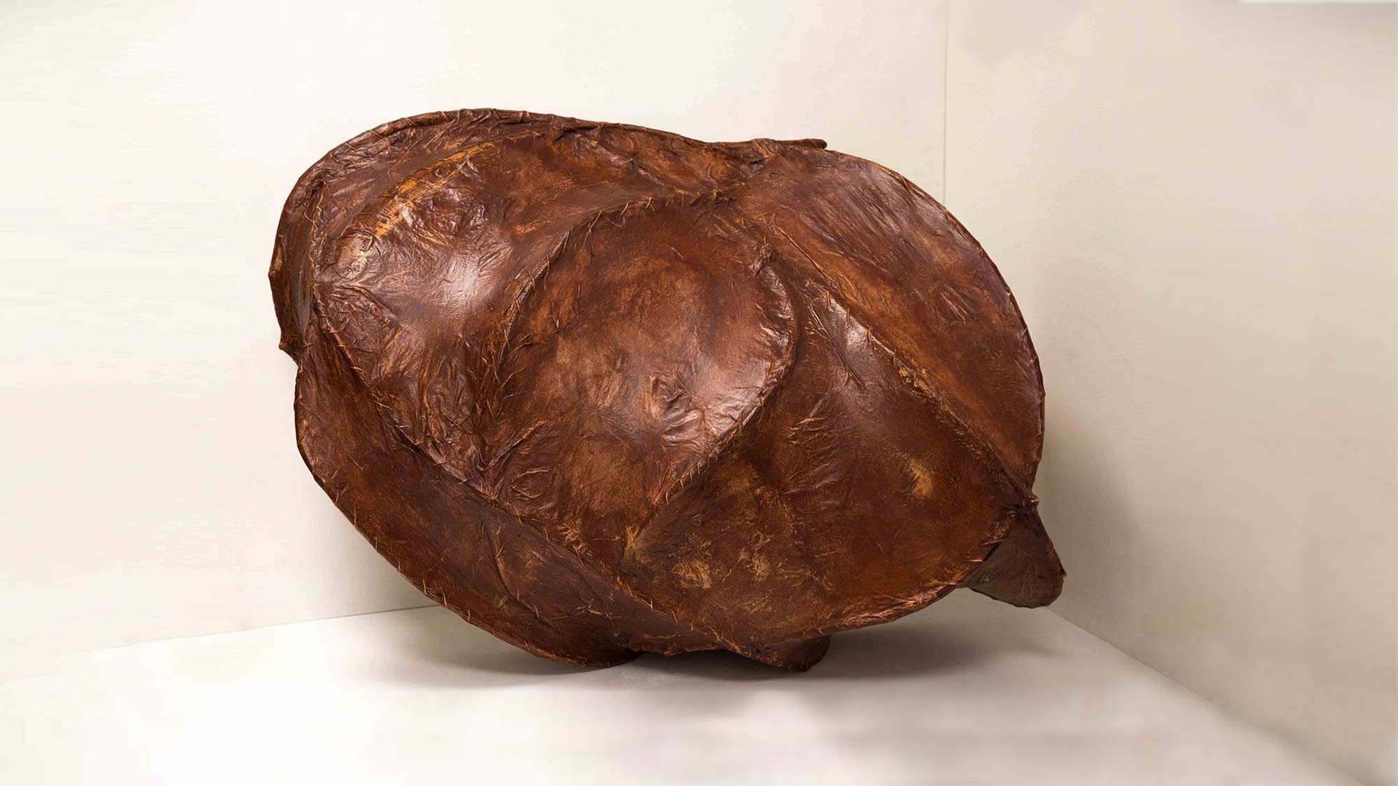 Sculpture_Carapace.jpg