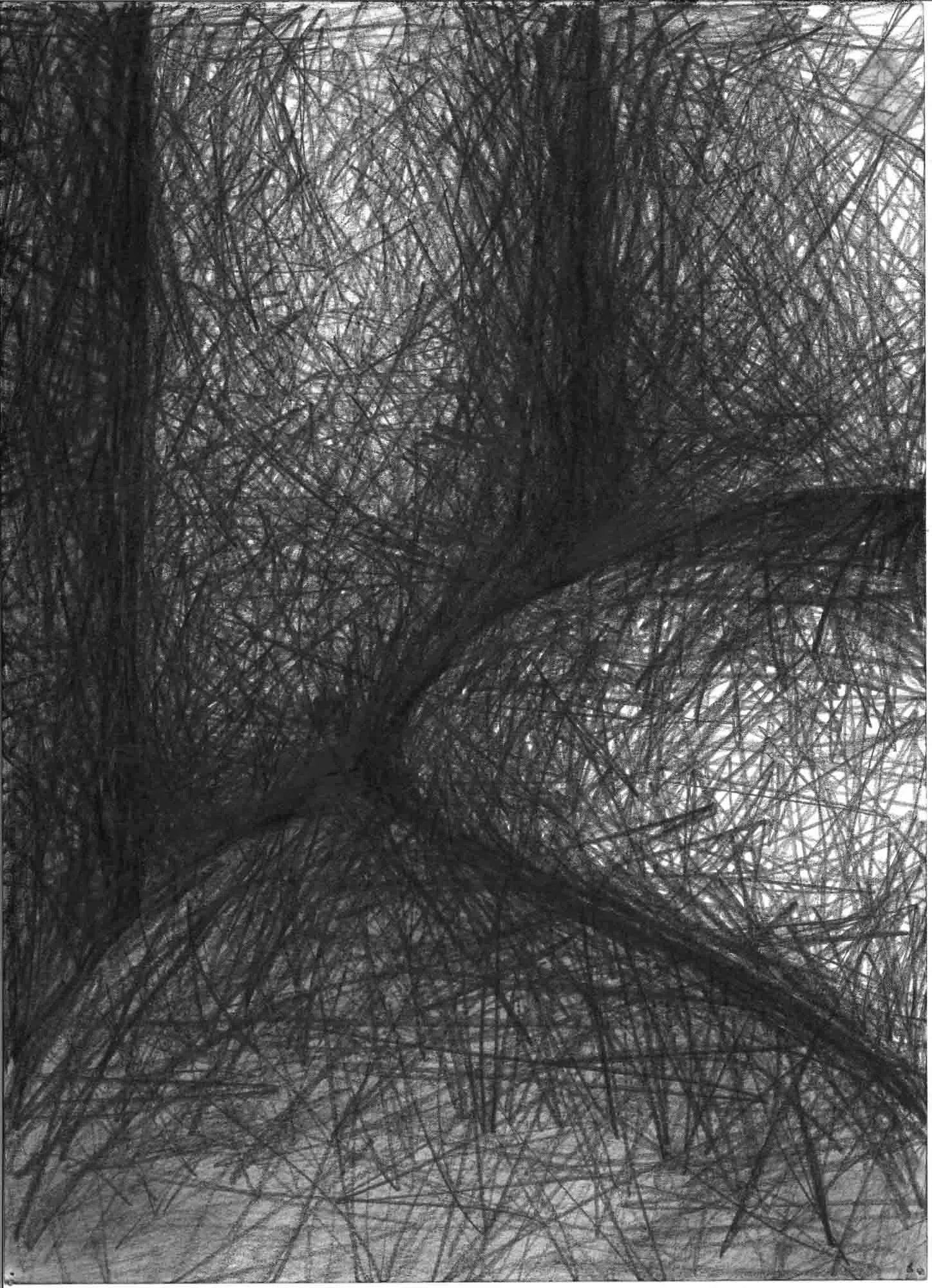  Natural Forms 1 , 1997,  39x28cm OPT