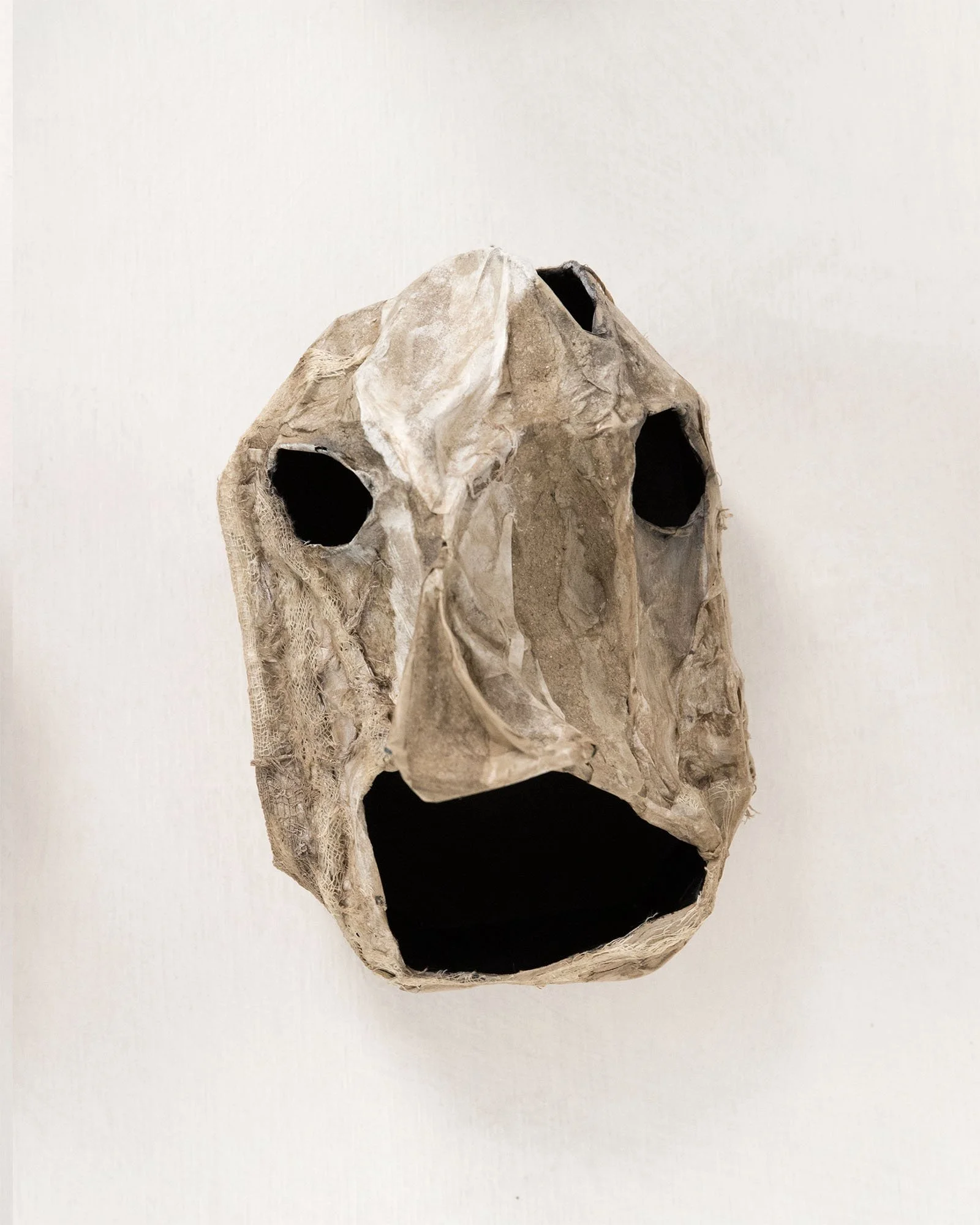 Head H22cm W14cm D15cm 2026