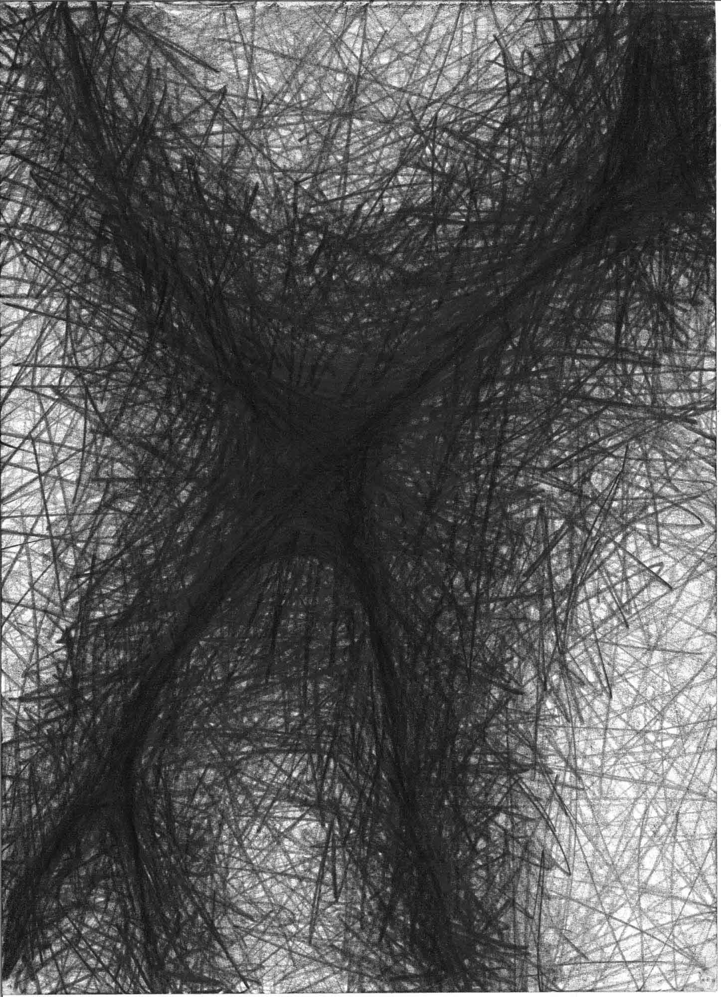 Natural Forms 4 , 1997,  39x28cm OPT