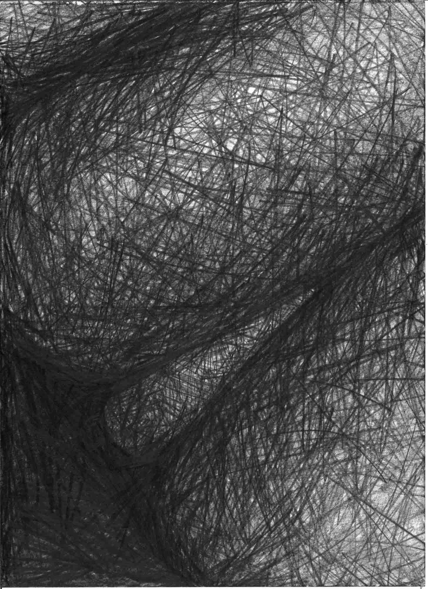  Natural Forms 2 , 1997,  39x28cm OPT