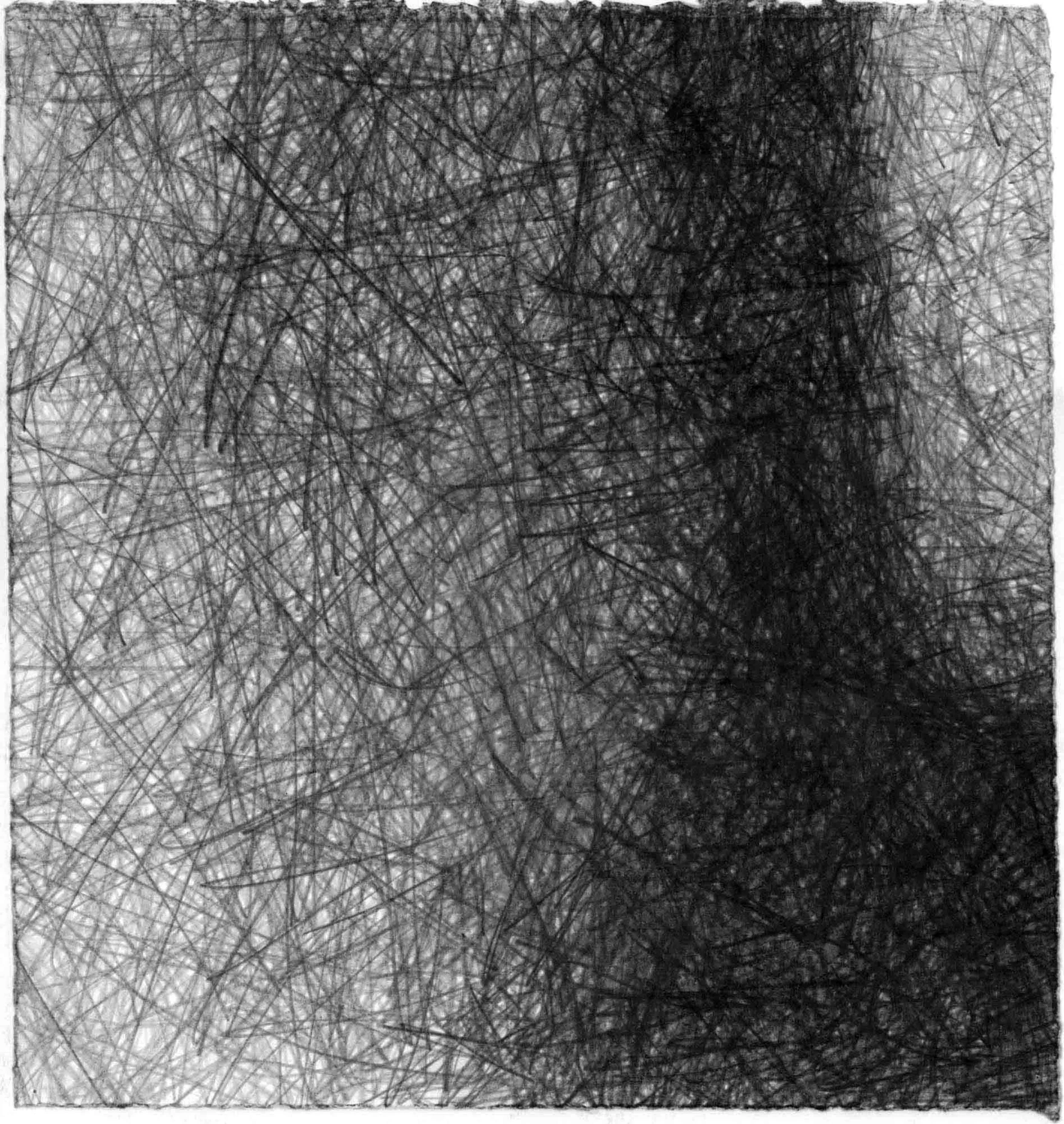  Natural Forms C  , 30x29cm OPT