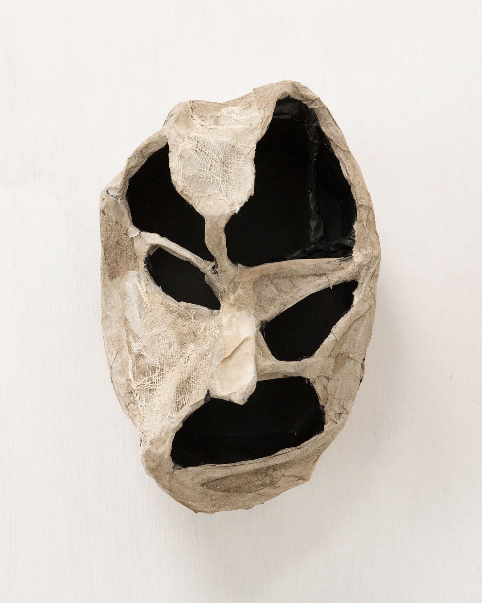 Head H22cm W14cm D15cm 2026