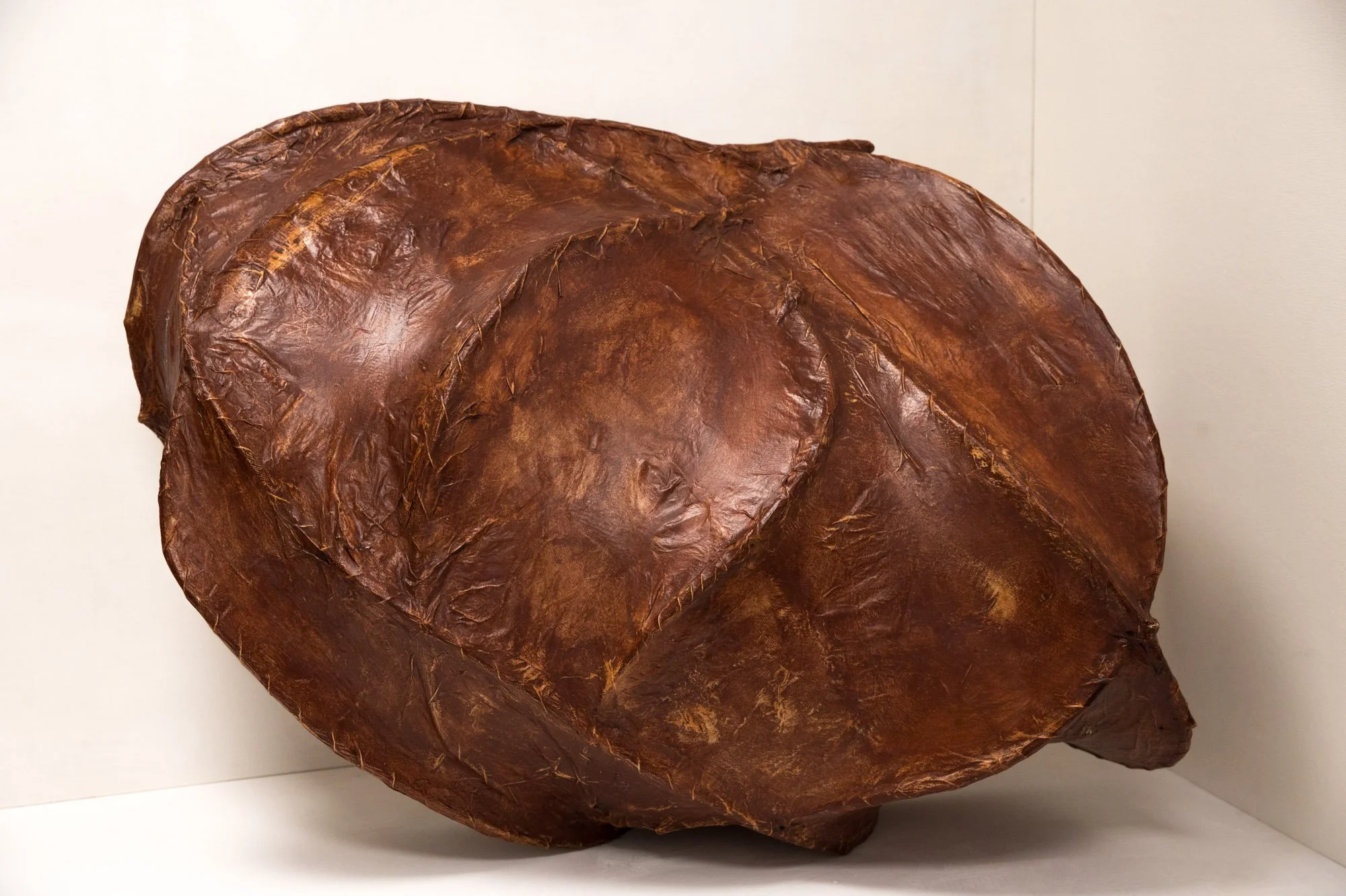  Carapace 
 H90cm W70cm D50cm 1997