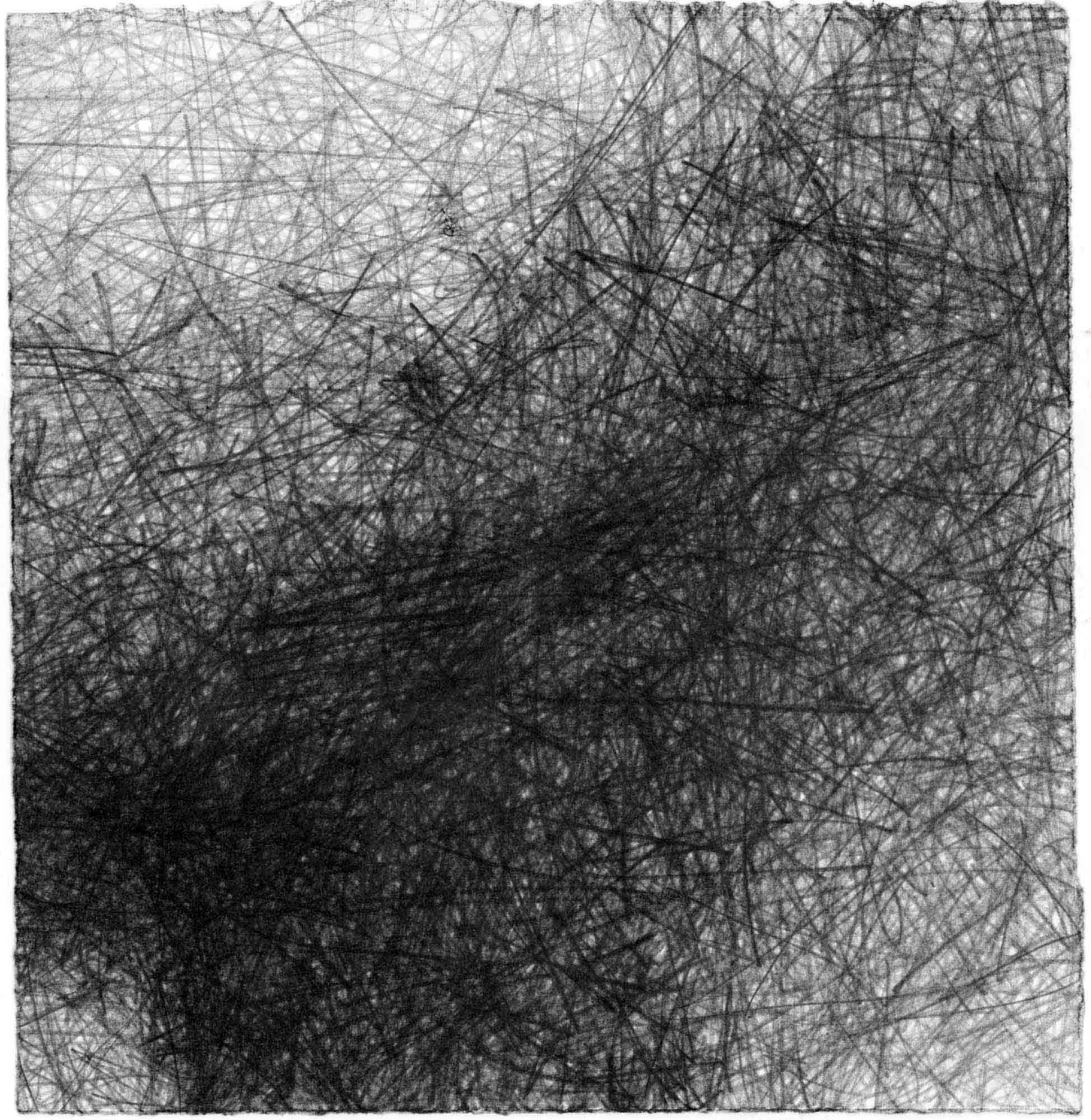  Natural Forms D , 30x29cm OPT