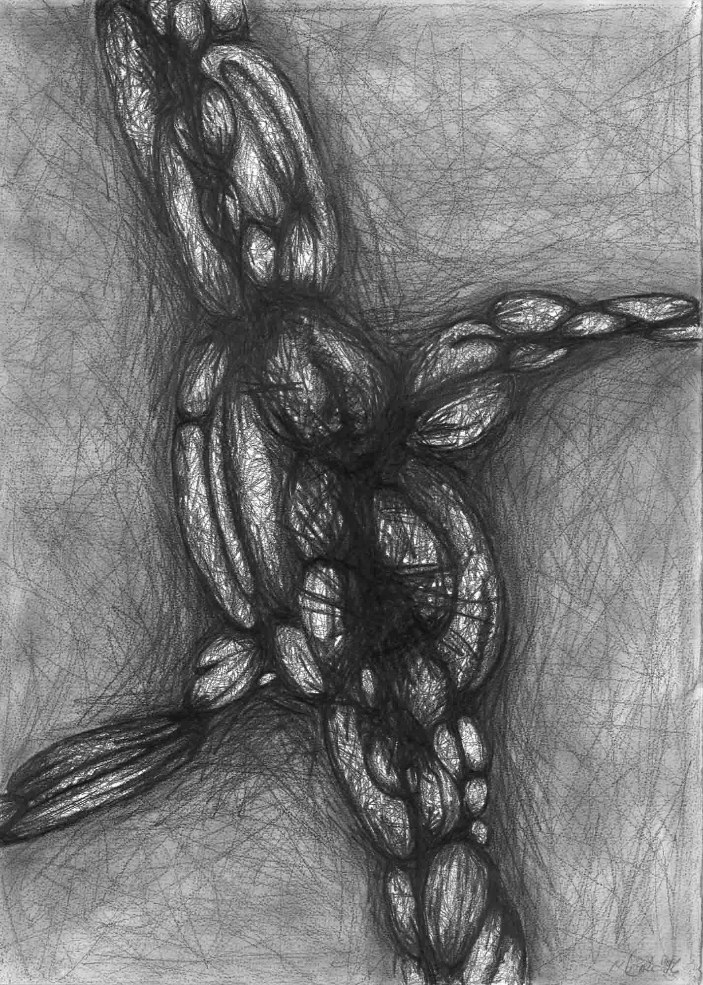  Natural Forms Large 2 , 1996, 70x50cm OPT