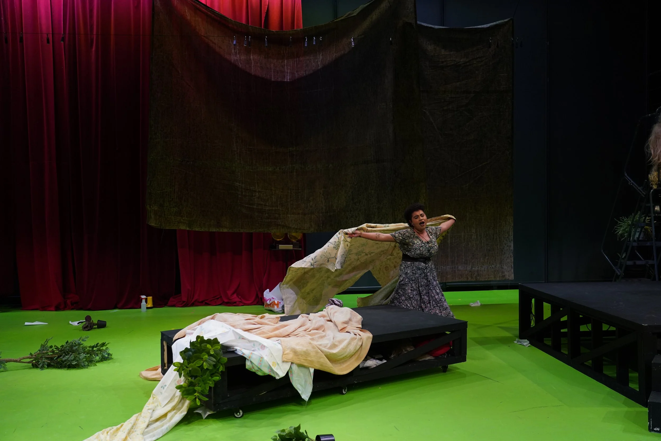 IntoTheWoods366.JPG