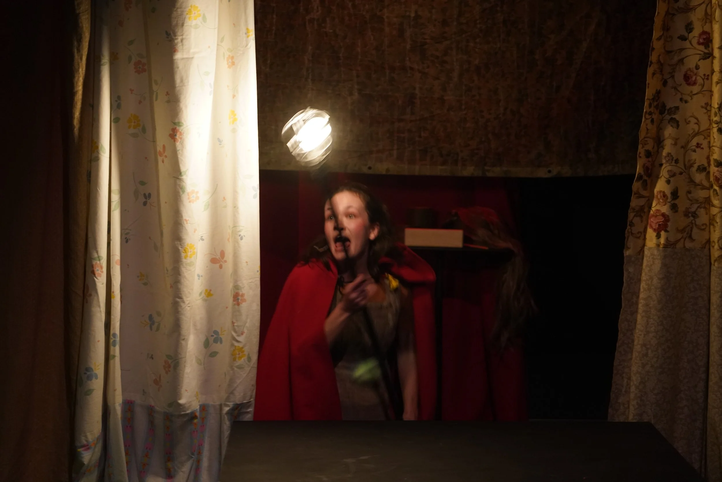 IntoTheWoods435.JPG