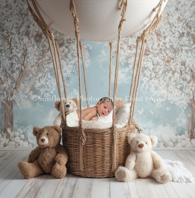 2026-10-08 21_48_38-Mais & Muath Abdou Newborn Photos - Sunflower Photography - Online Picture Proof.png