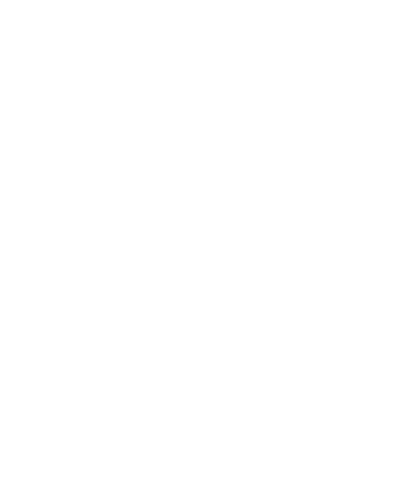 Sunflower Photography