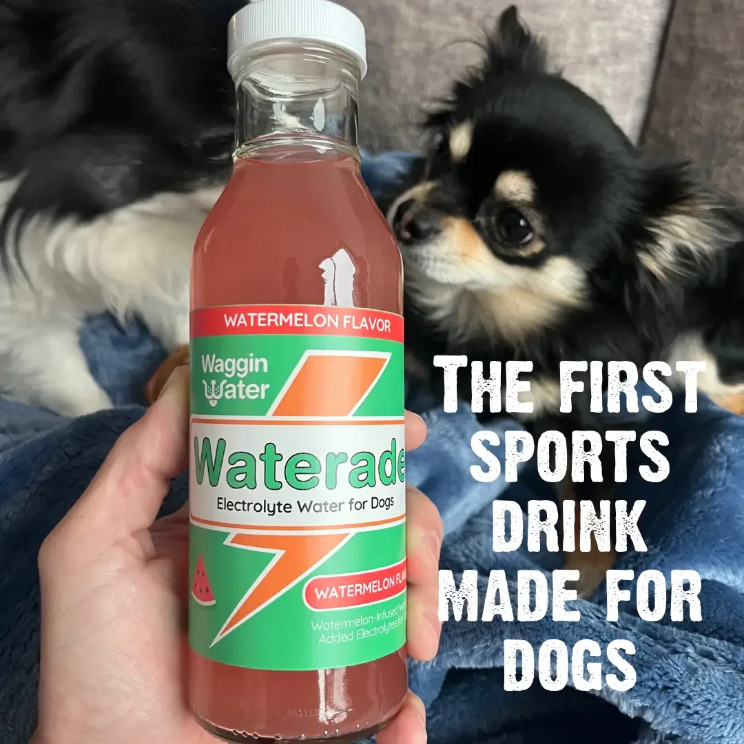 waterade punch 3.webp