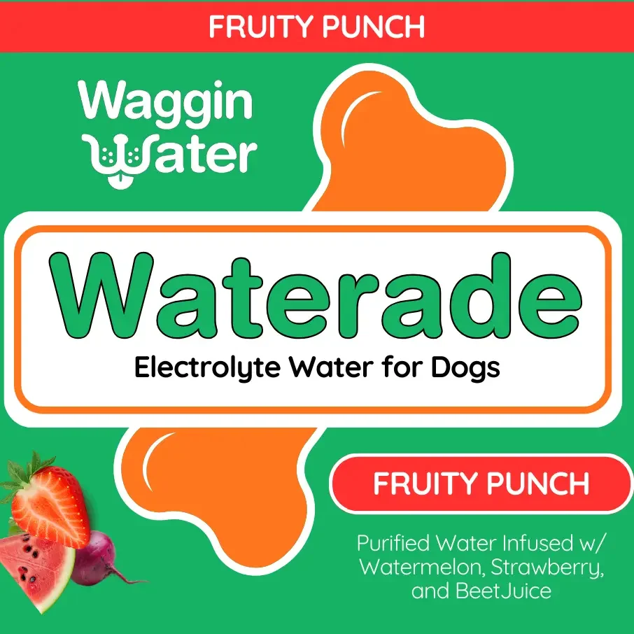 waterade punch 2.webp