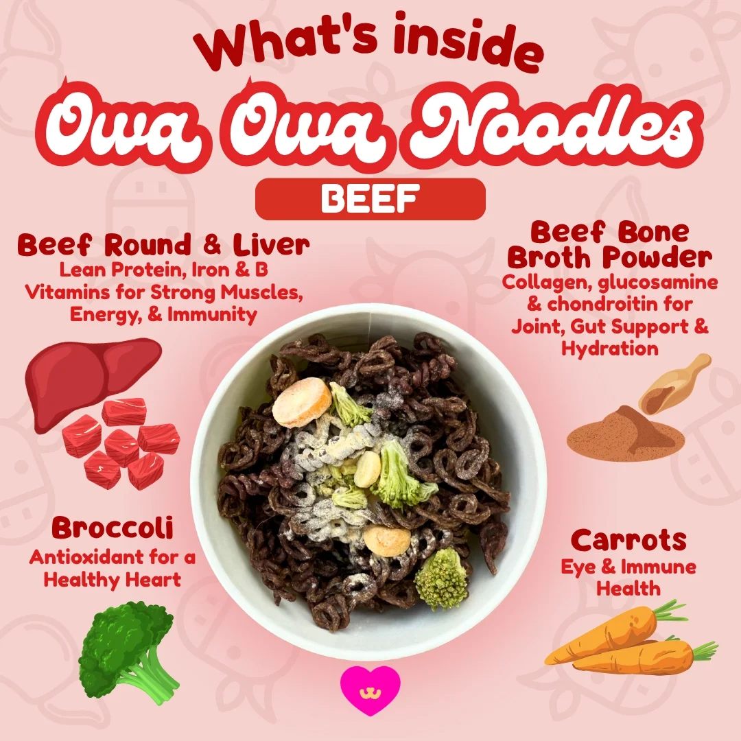 owa owa noobles beef 2.webp