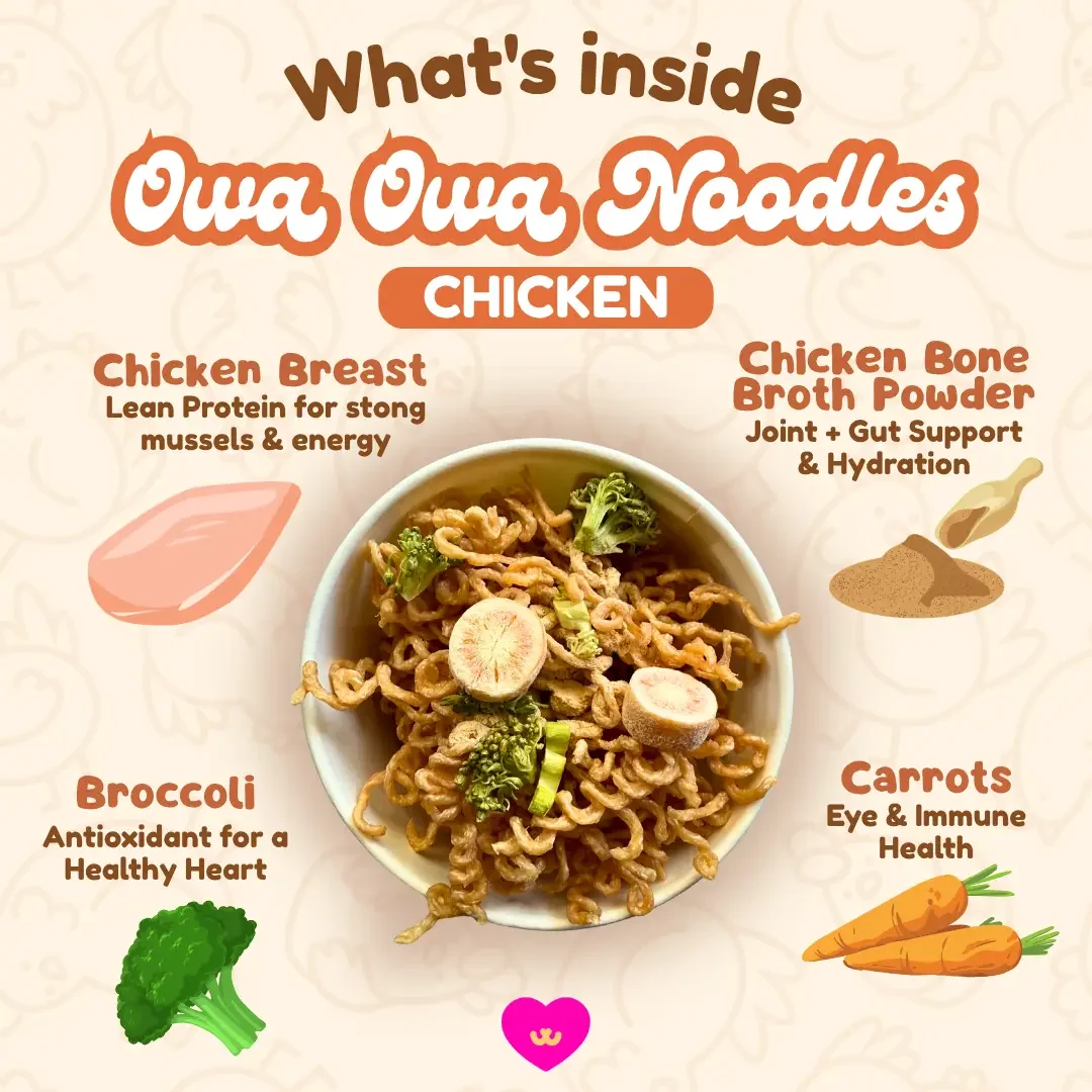owa owa noodles chicken 2.webp
