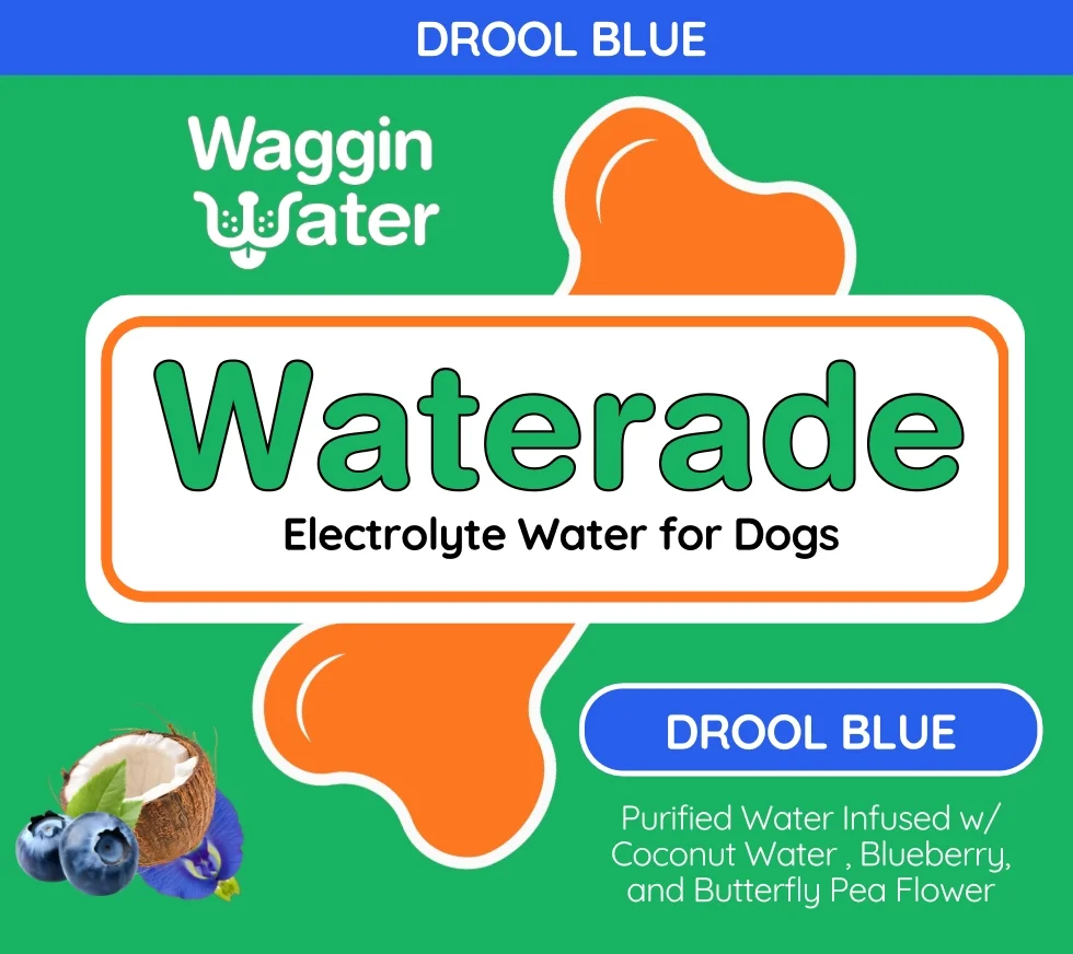 waterade 2.webp
