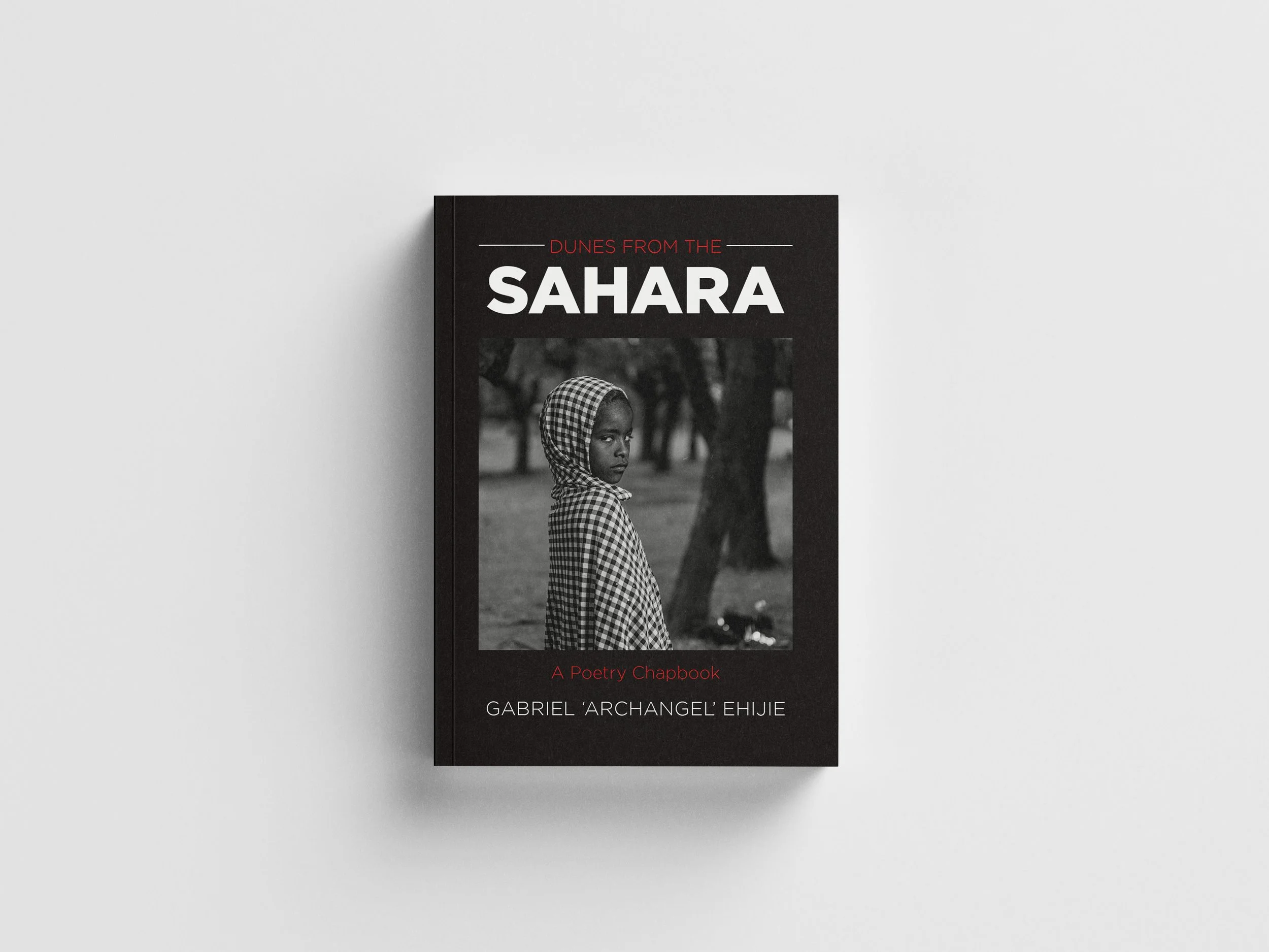 DS Free_Book_Mockup_2 copy.jpg