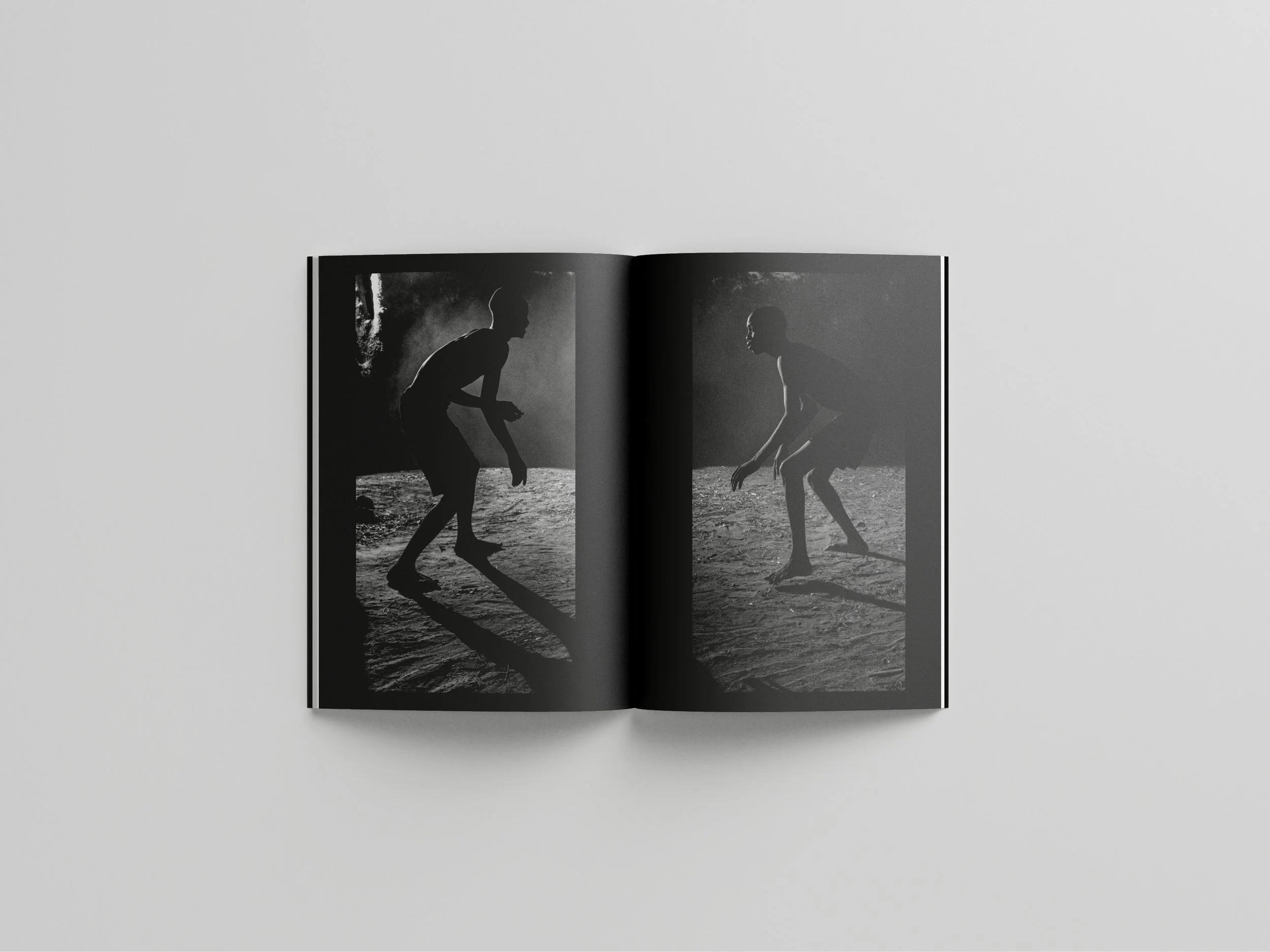 DS 3Free_Book_Mockup_6 copy.jpg