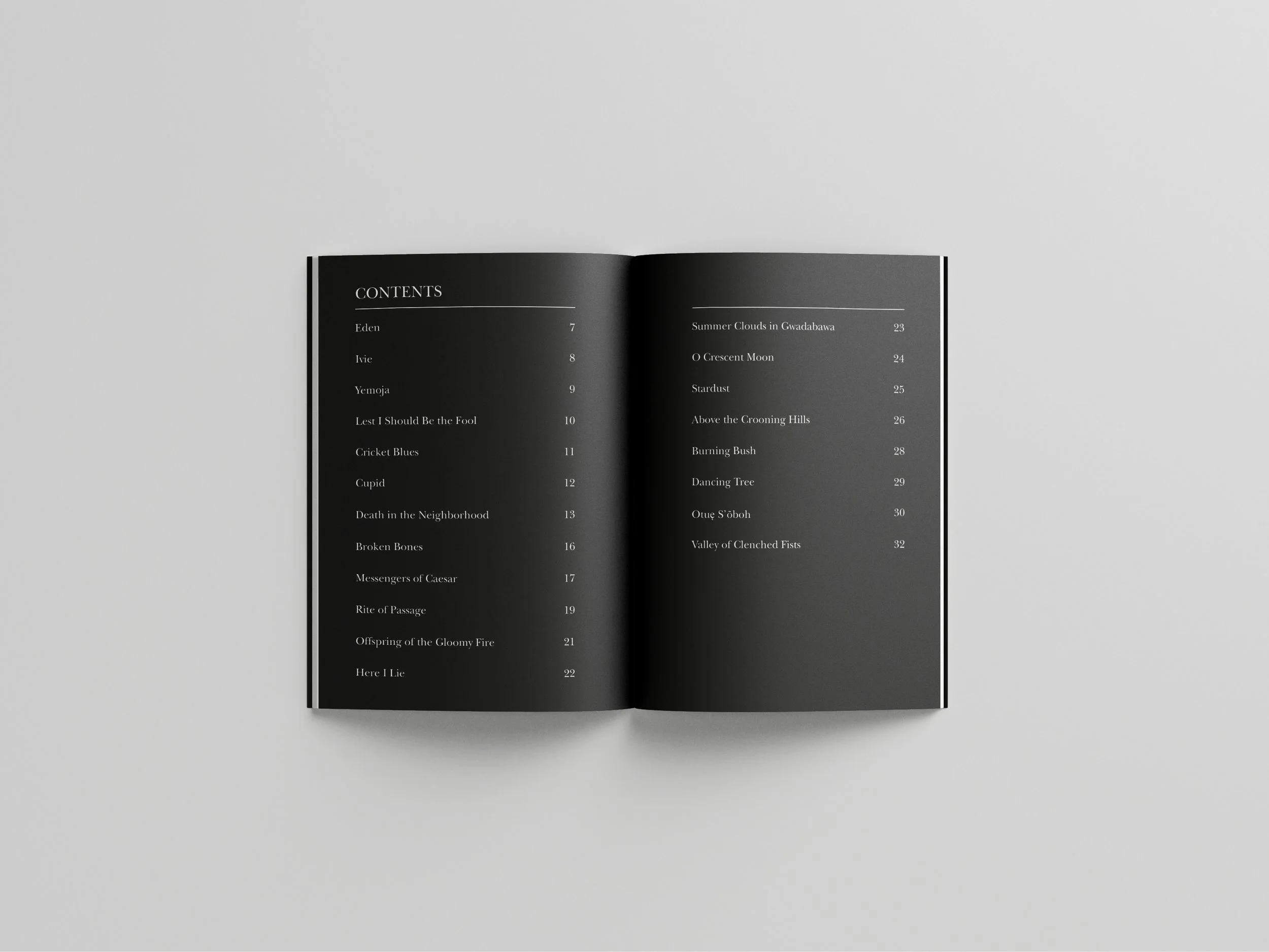 DS 2Free_Book_Mockup_6 copy.jpg