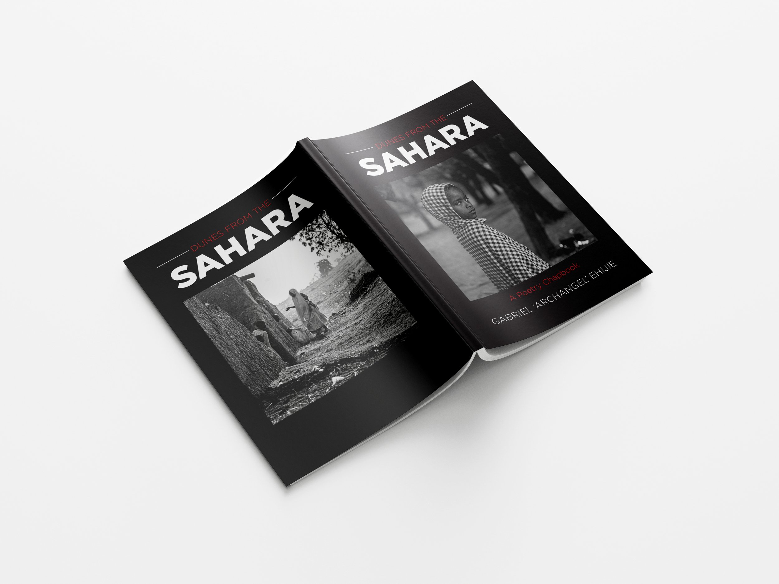 DS Free_Book_Mockup_7 copy.jpg