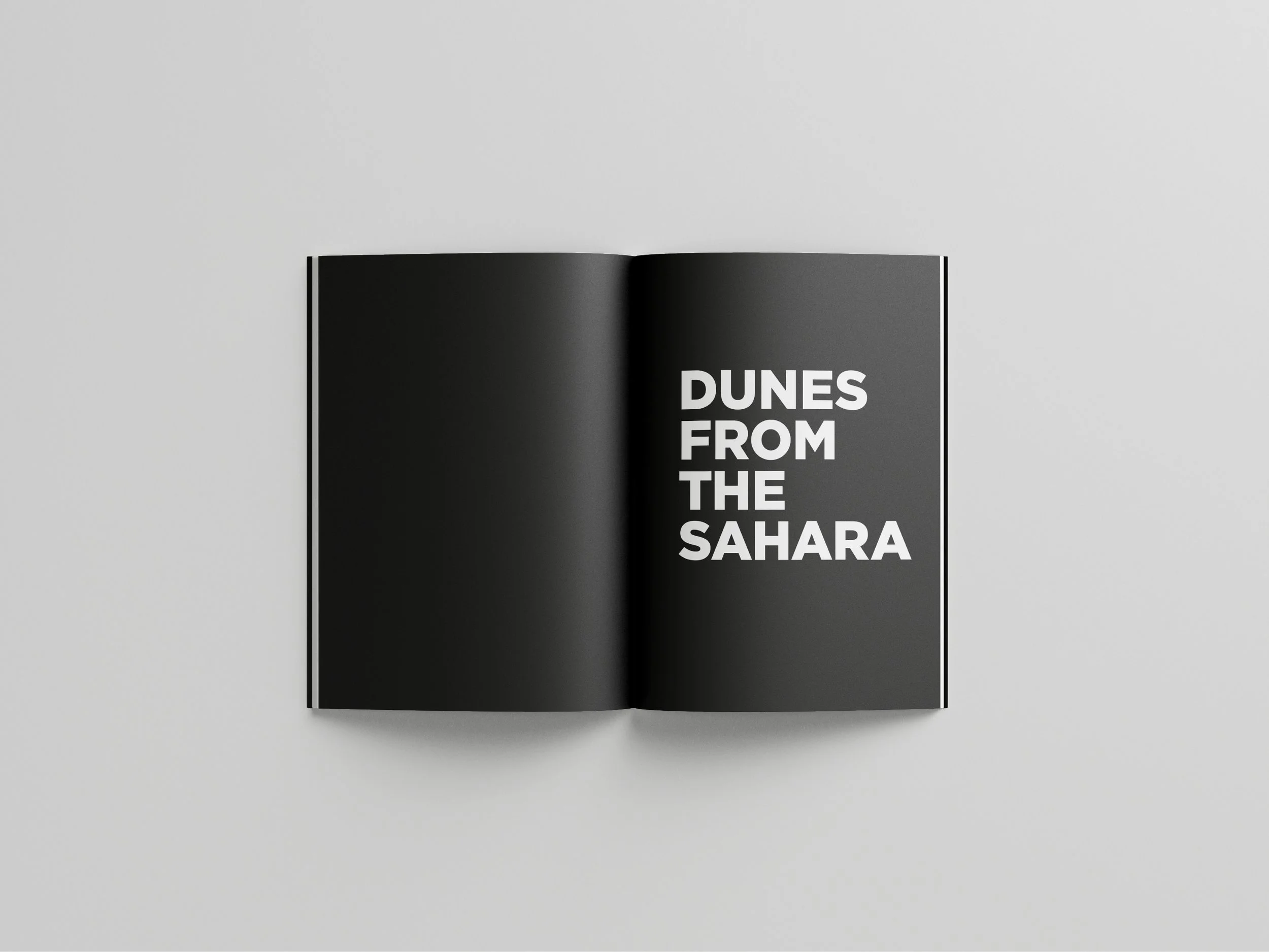 DS 1Free_Book_Mockup_6 copy.jpg