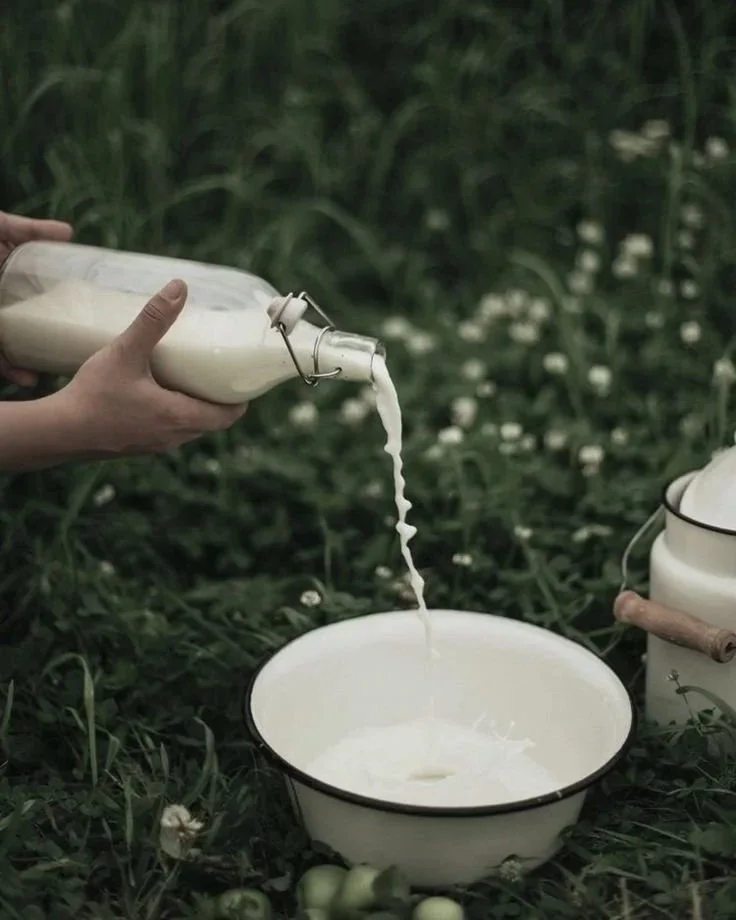 A bottle of milk being poured into a bowl outdoors on grass, surrounded by a teapot and apple-like fruits.