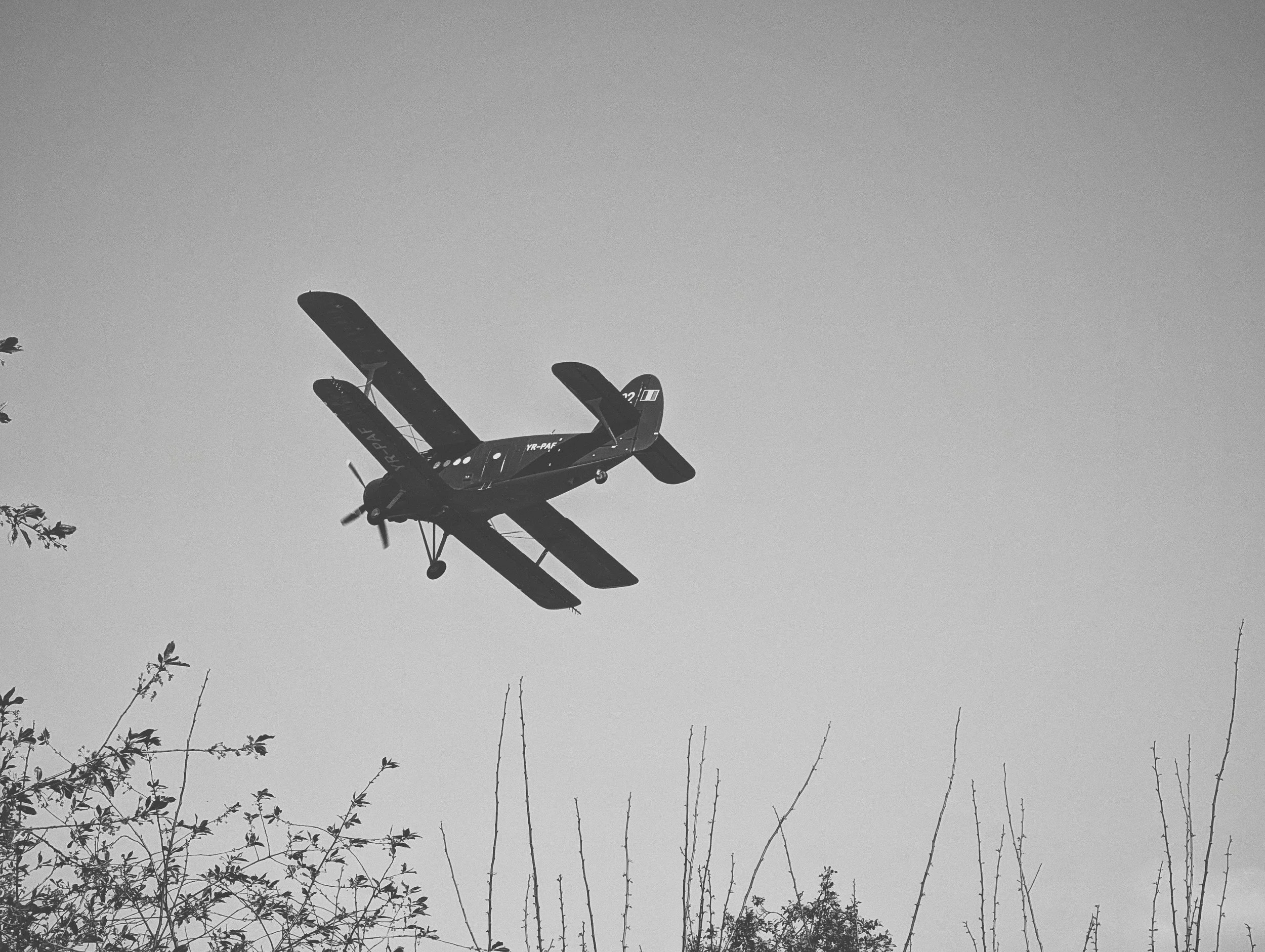 Black and white photograph of a small airplane flying low in the sky, with tree branches in the foreground.