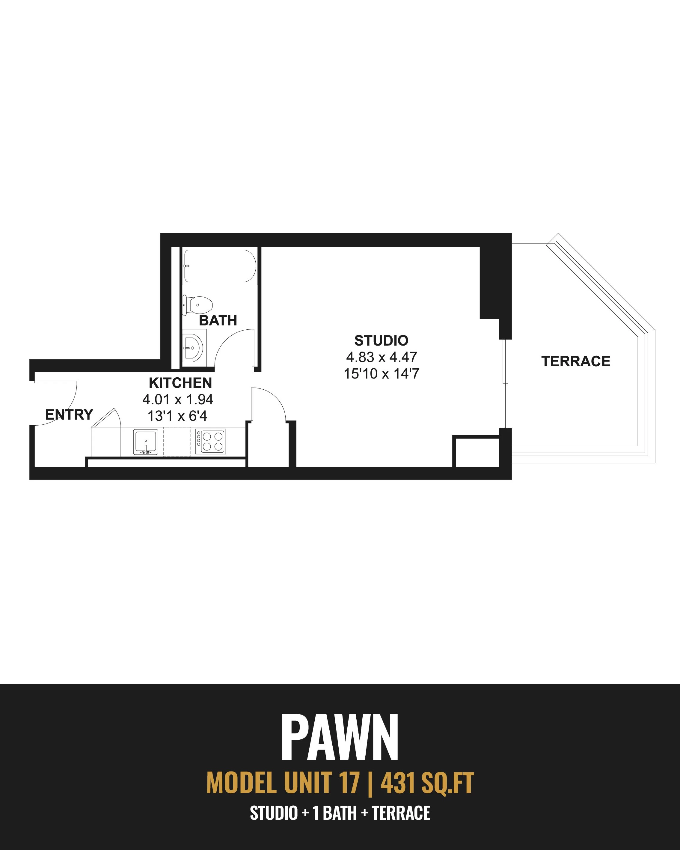 Unit 17 Pawn.jpg