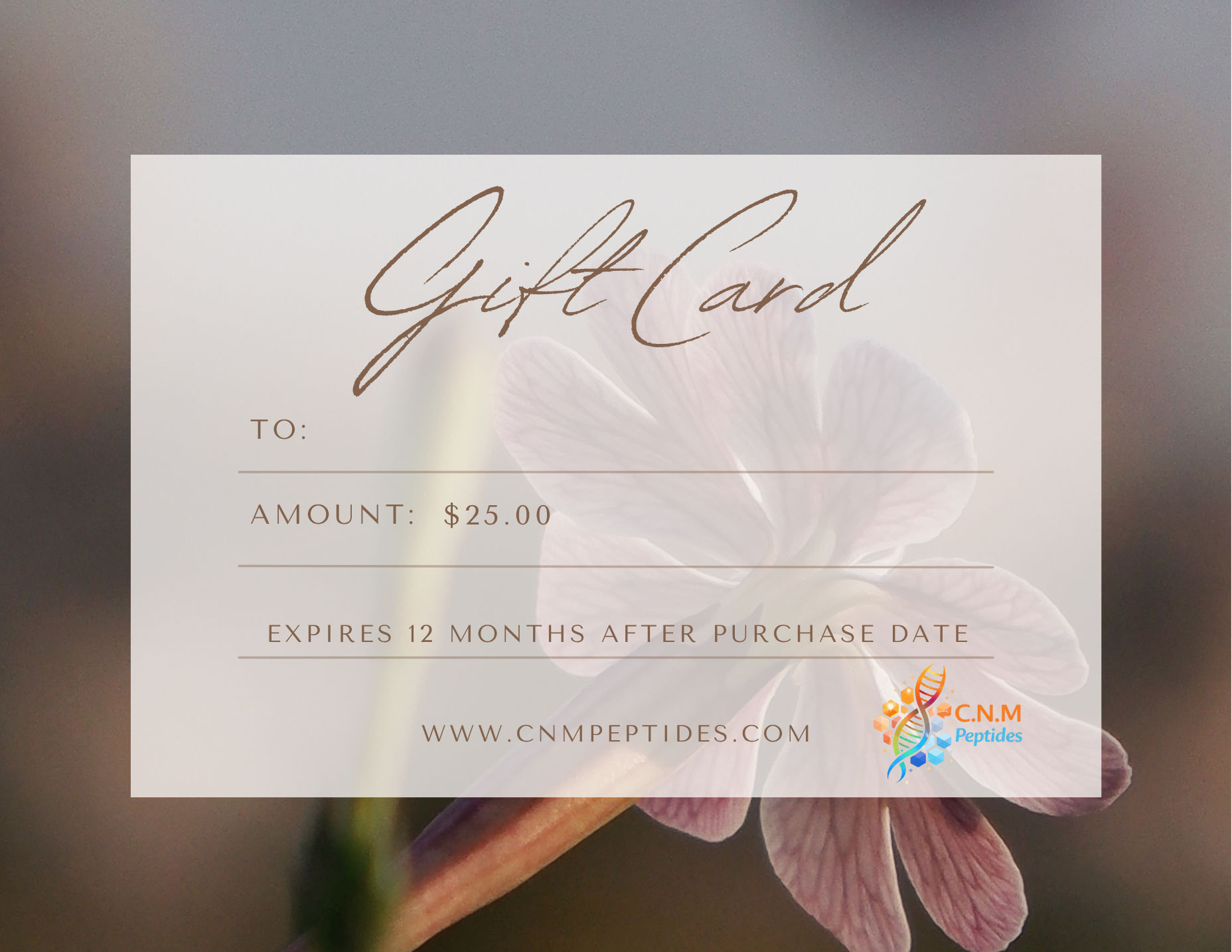 $25 Gift Card