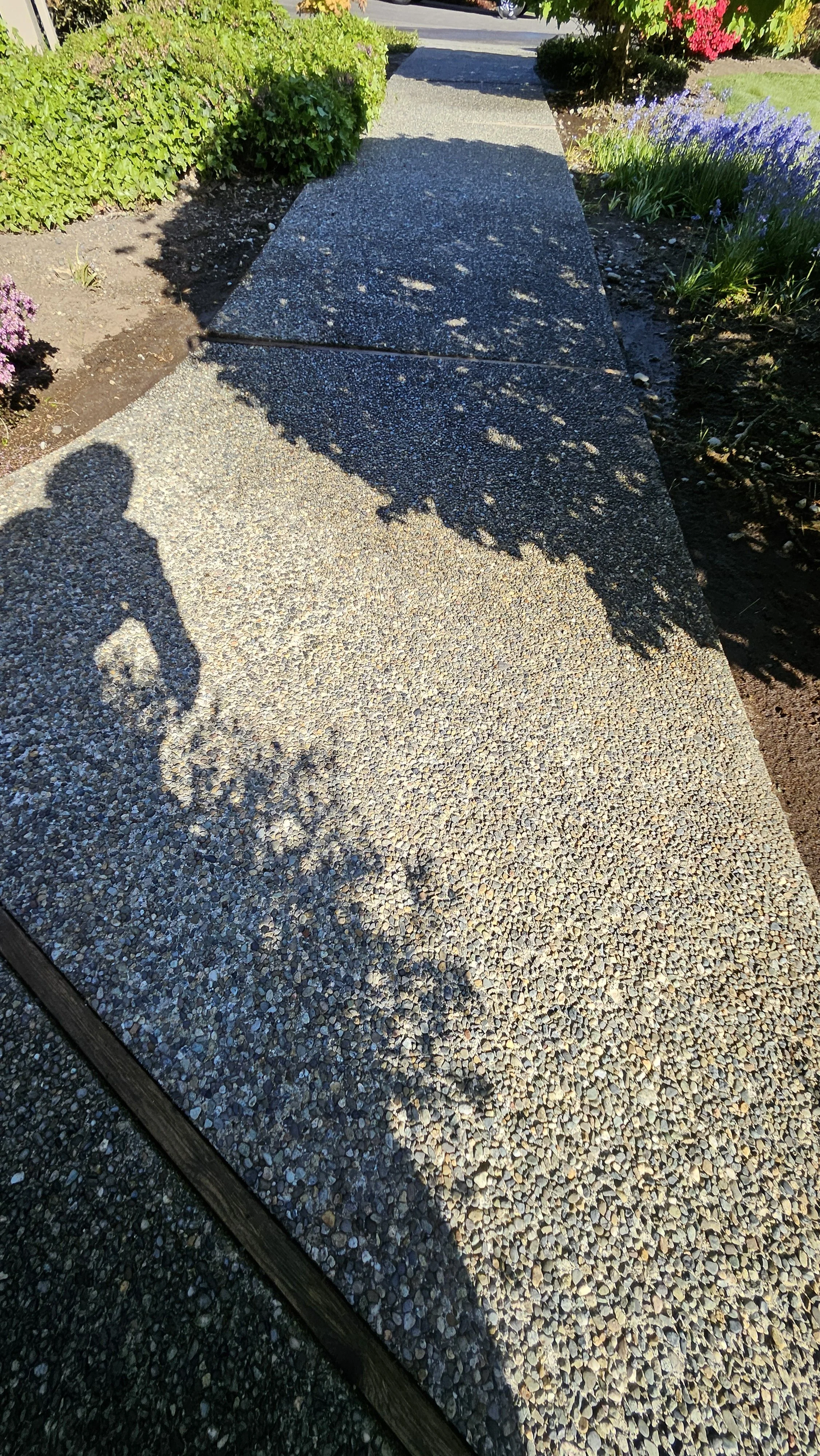 20250501_165519.jpg